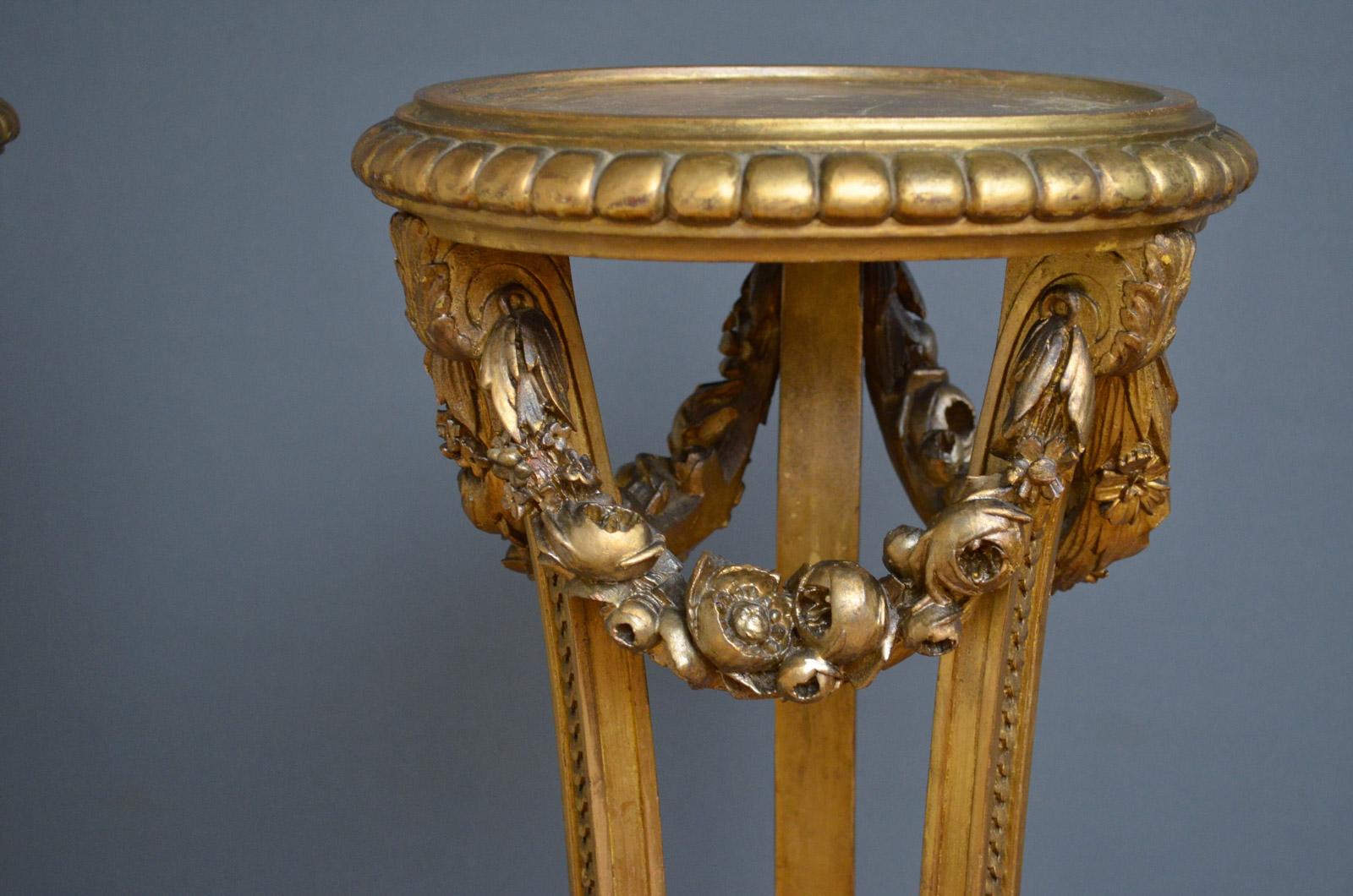 Sn3503, stylish pair of 19th century, giltwood torchères / stand, each having 12