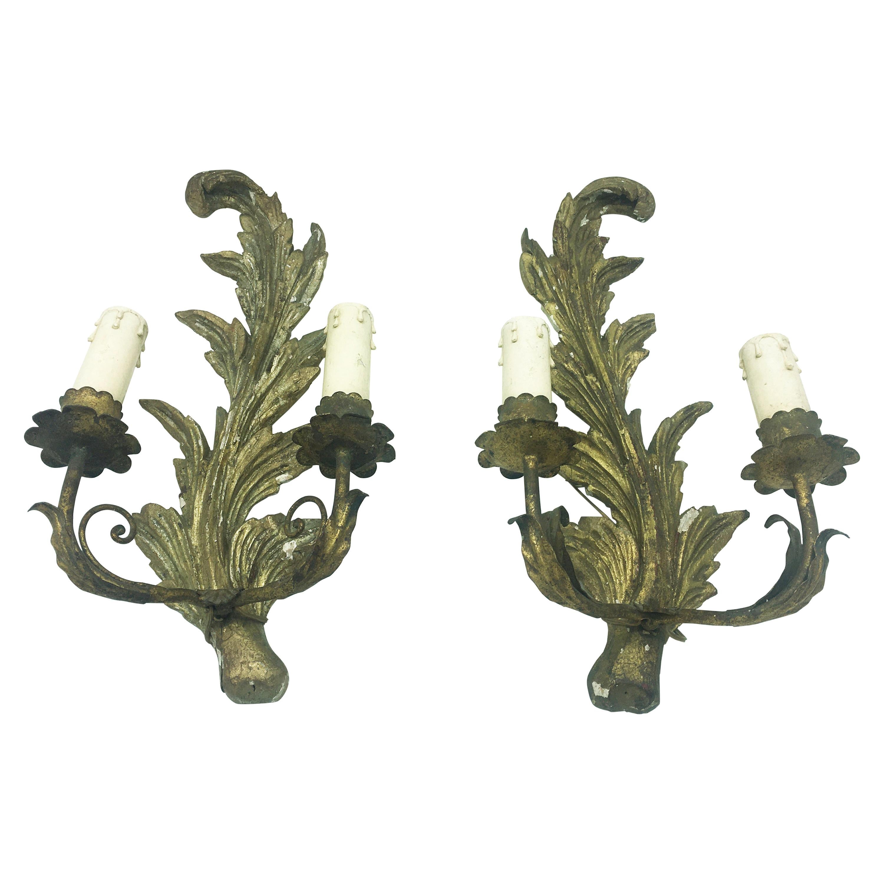 Exceptional Pair of Italian Giltwood Wall Appliques For Sale