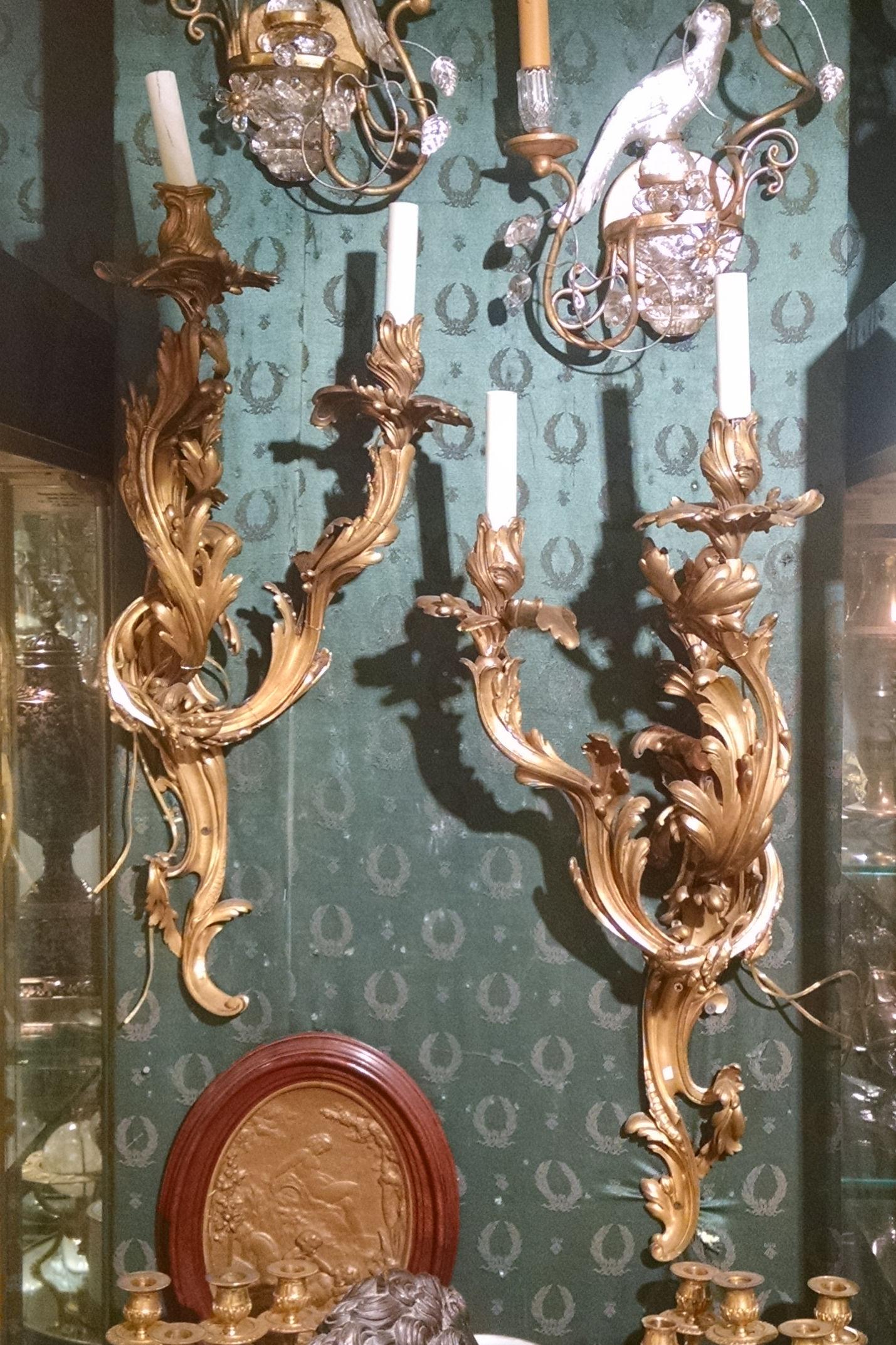 Außergewöhnliches Paar großer Wandleuchten aus vergoldeter Bronze im Louis-XV-Stil (Französisch) im Angebot