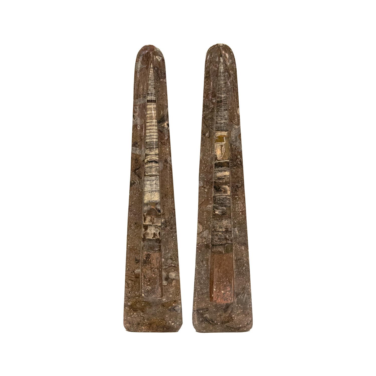 Impressive pair of obelisk shaped polished extinct fossil sculptures (Orthoceras) with beautiful organic variations which date back 400 million years from Sweden and the Baltic States. They were sold in the United States in the 1980's. These