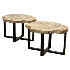 Exceptional Pair of Petrified Wood Tables