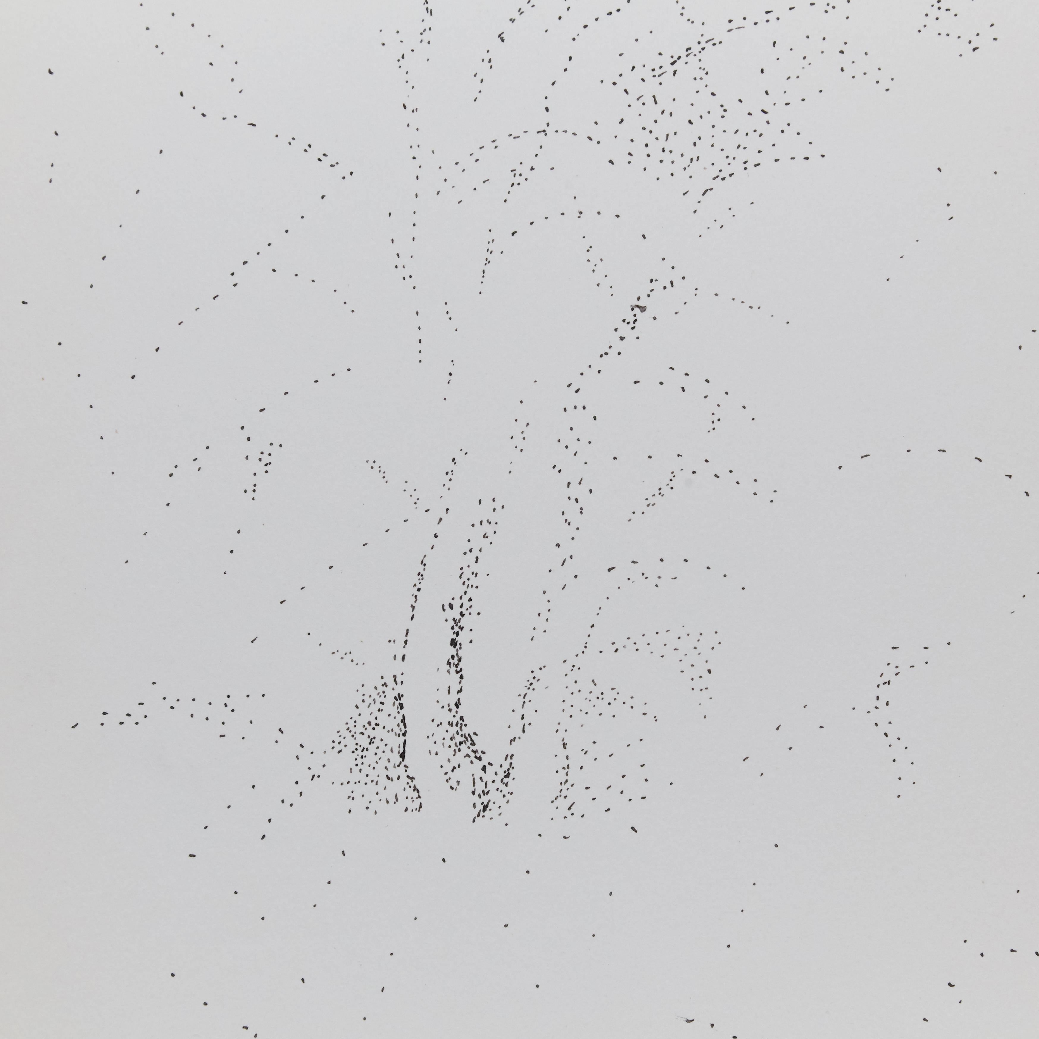 French Exceptional Pointillist Drawing by Dora Maar, circa 1960
