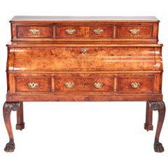 Exceptional Quality Antique 19th Century Victorian Burr Walnut Bureau