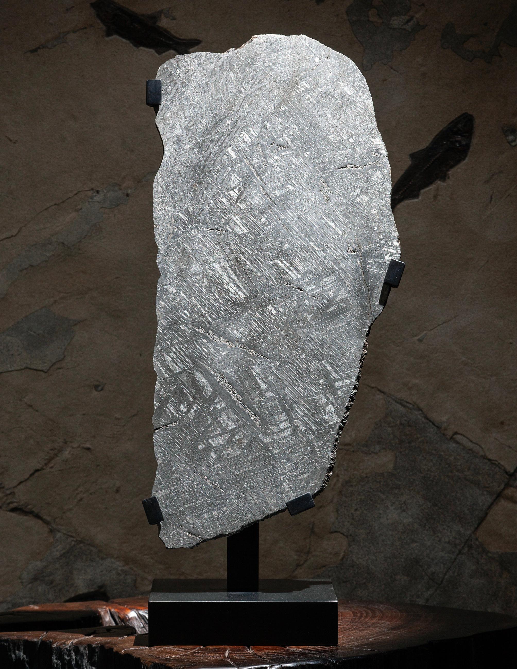 Rare Seymchan meteorites featuring the Wittmannstätten pattern are highly prized among collectors and meteorite enthusiasts due to their unique appearance and scientific significance. Seymchan meteorites originate from the Seymchan region in Russia