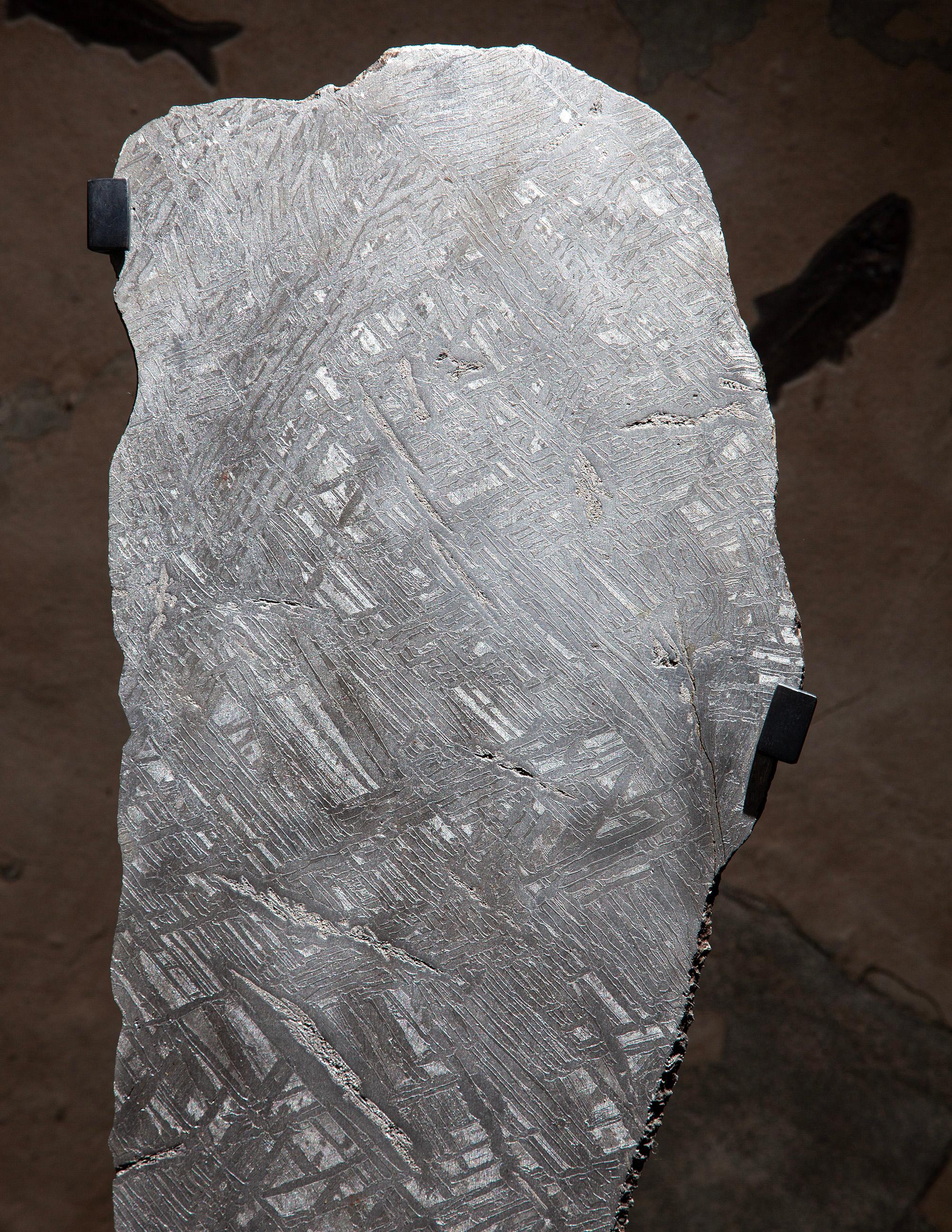 Exceptional & Rare Large Mounted Meteorite Slice In condizioni ottime in vendita a London, GB