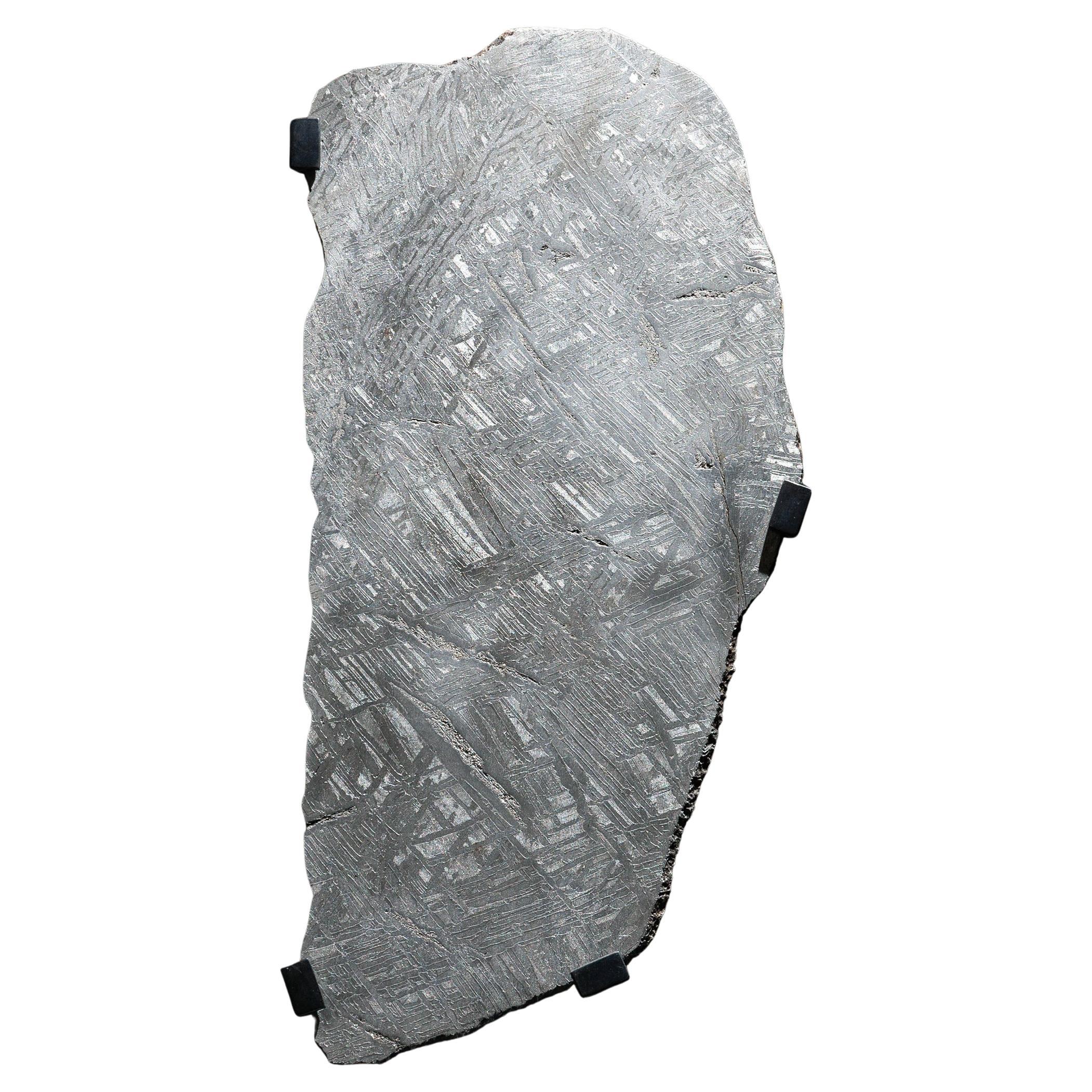 Exceptional & Rare Large Mounted Meteorite Slice