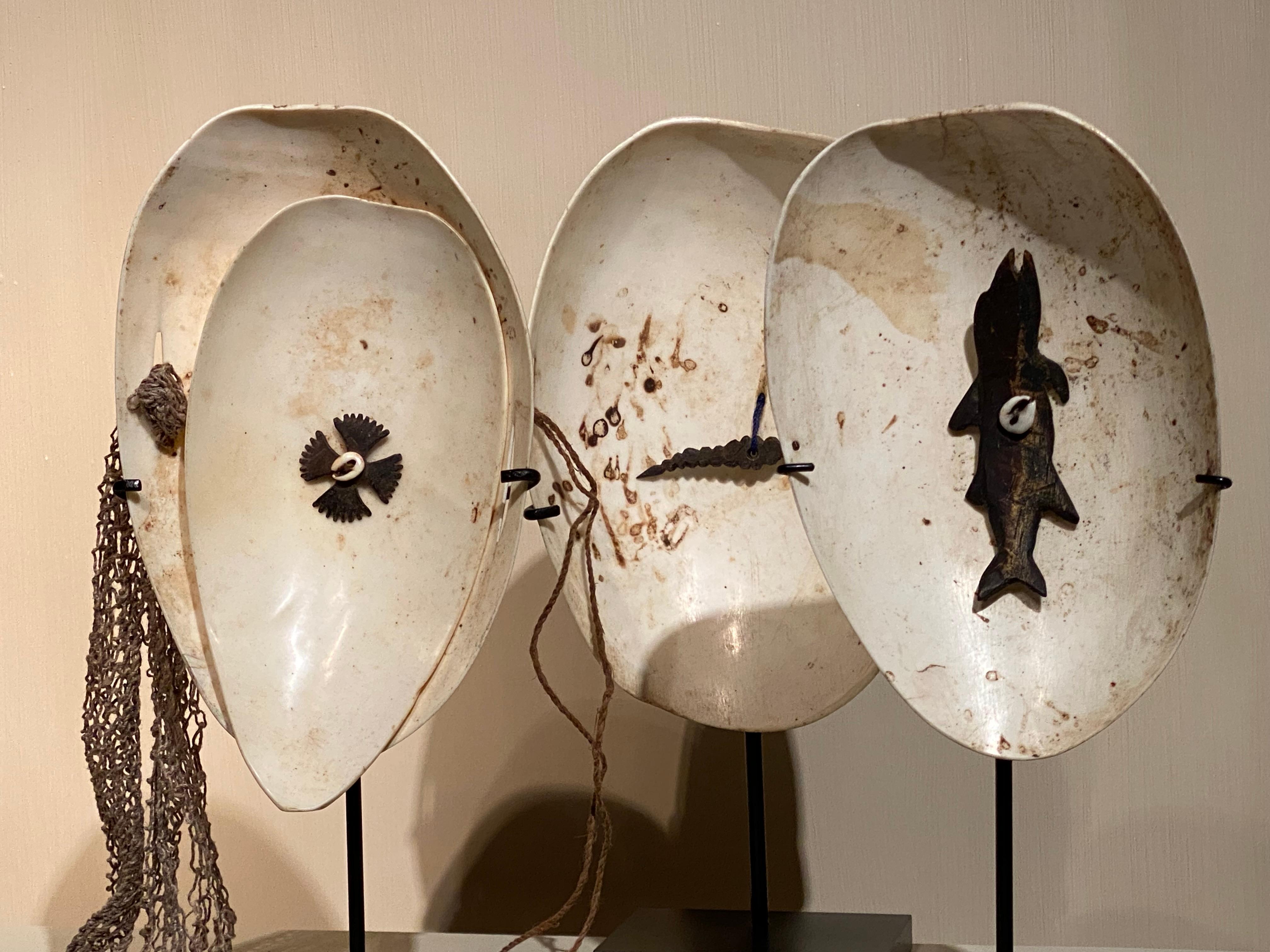 Shell Exceptional set of 3 Ceremonial Objects from Papua New Guinea For Sale