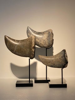 Exceptional Set of 3 Fossilized Animal Claws