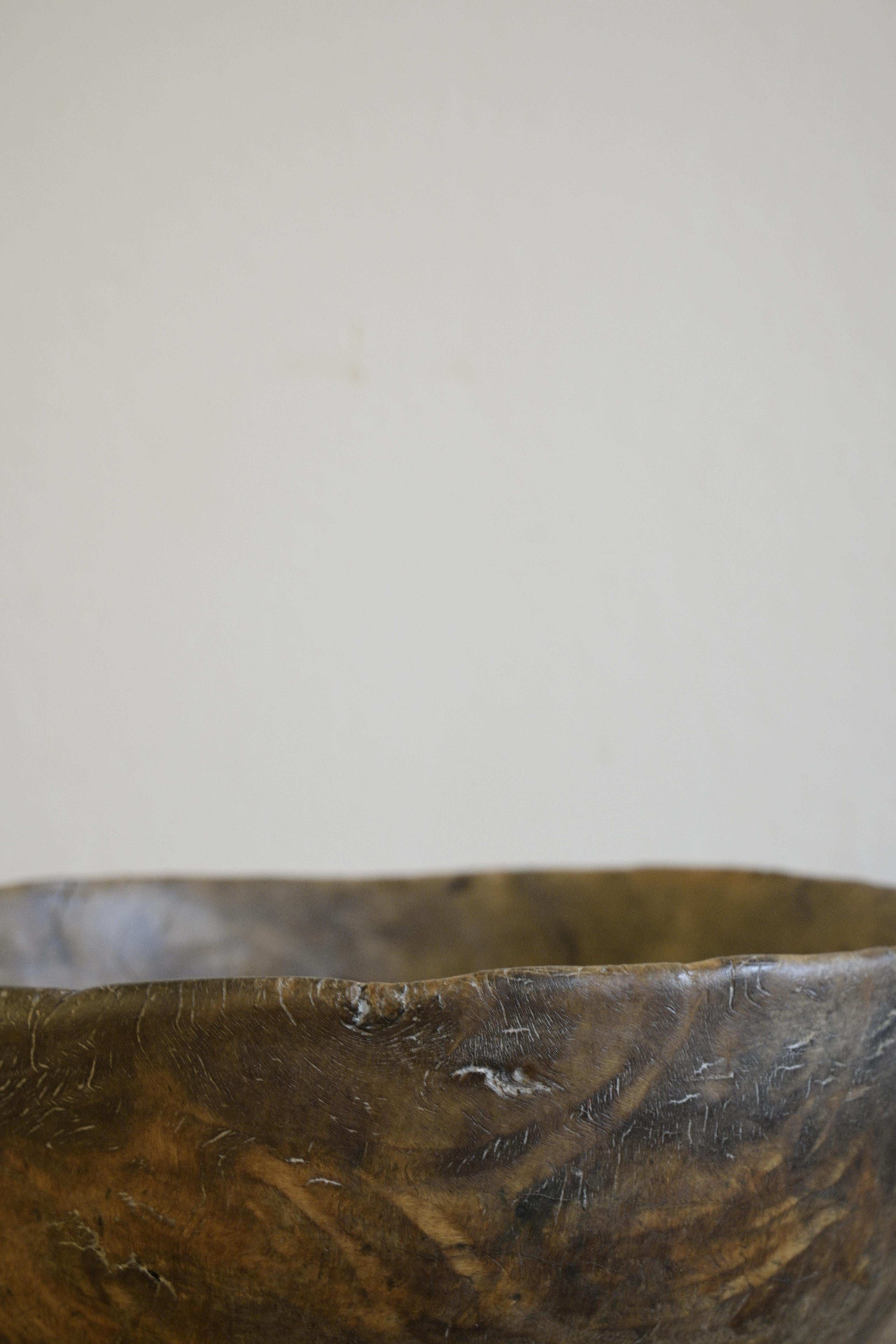 Birch Exceptional Swedish birch burl Bowl ca 1750 For Sale