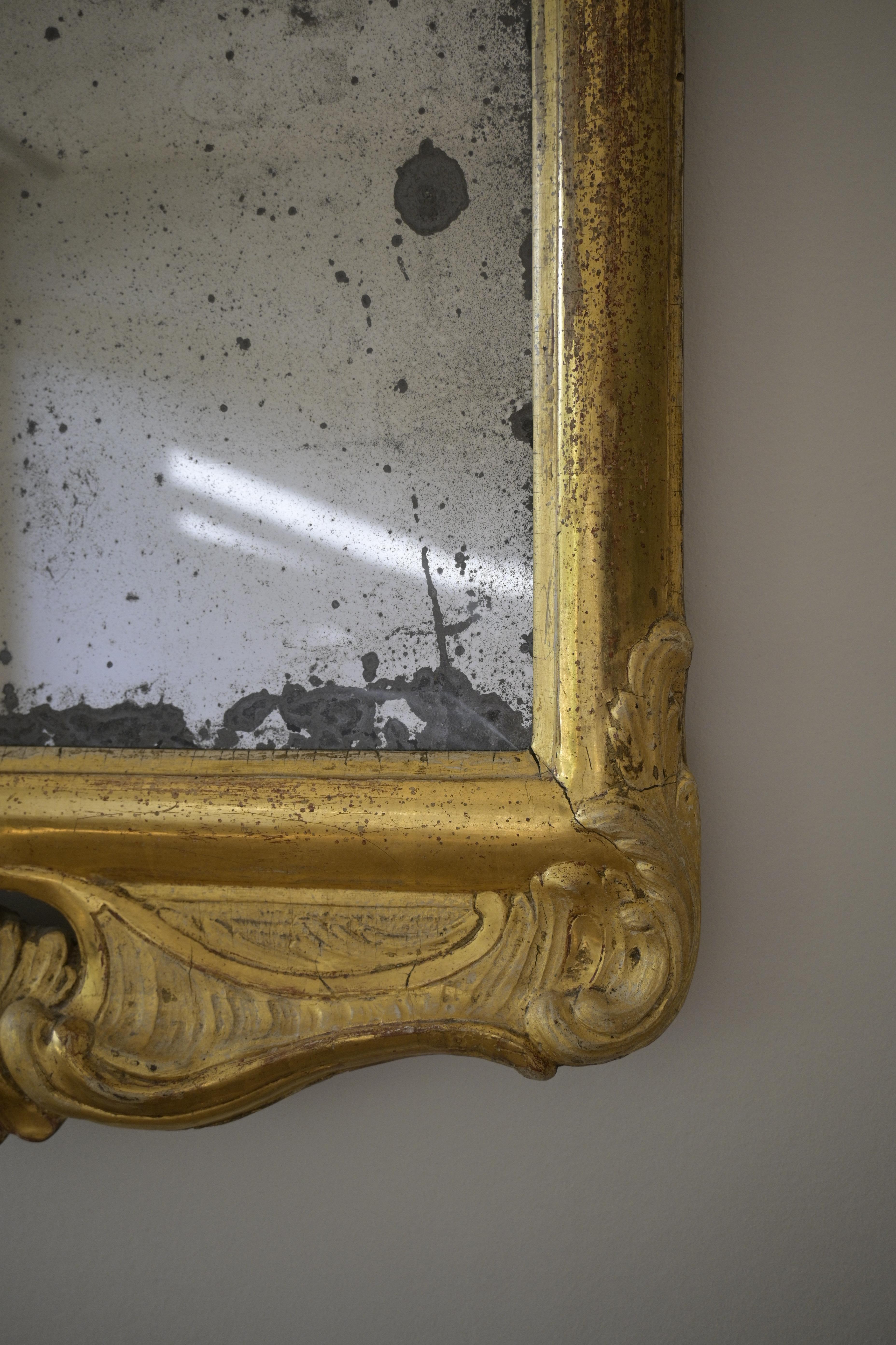 Hand-Carved Exceptional Swedish Stockholm-produced Rococo Mirror circa 1760 For Sale