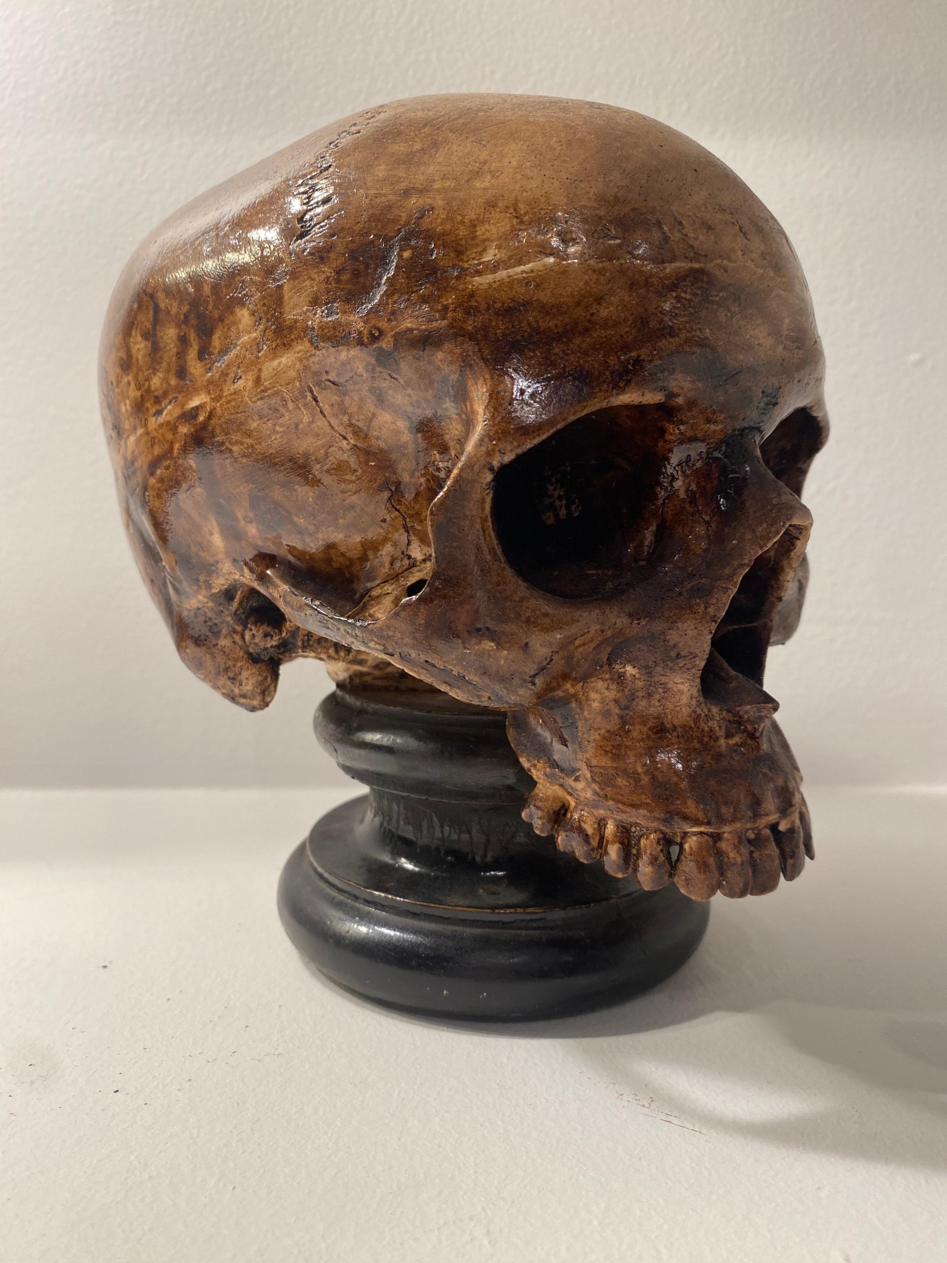 Patinated  Exceptional Terracotta Skull For Sale