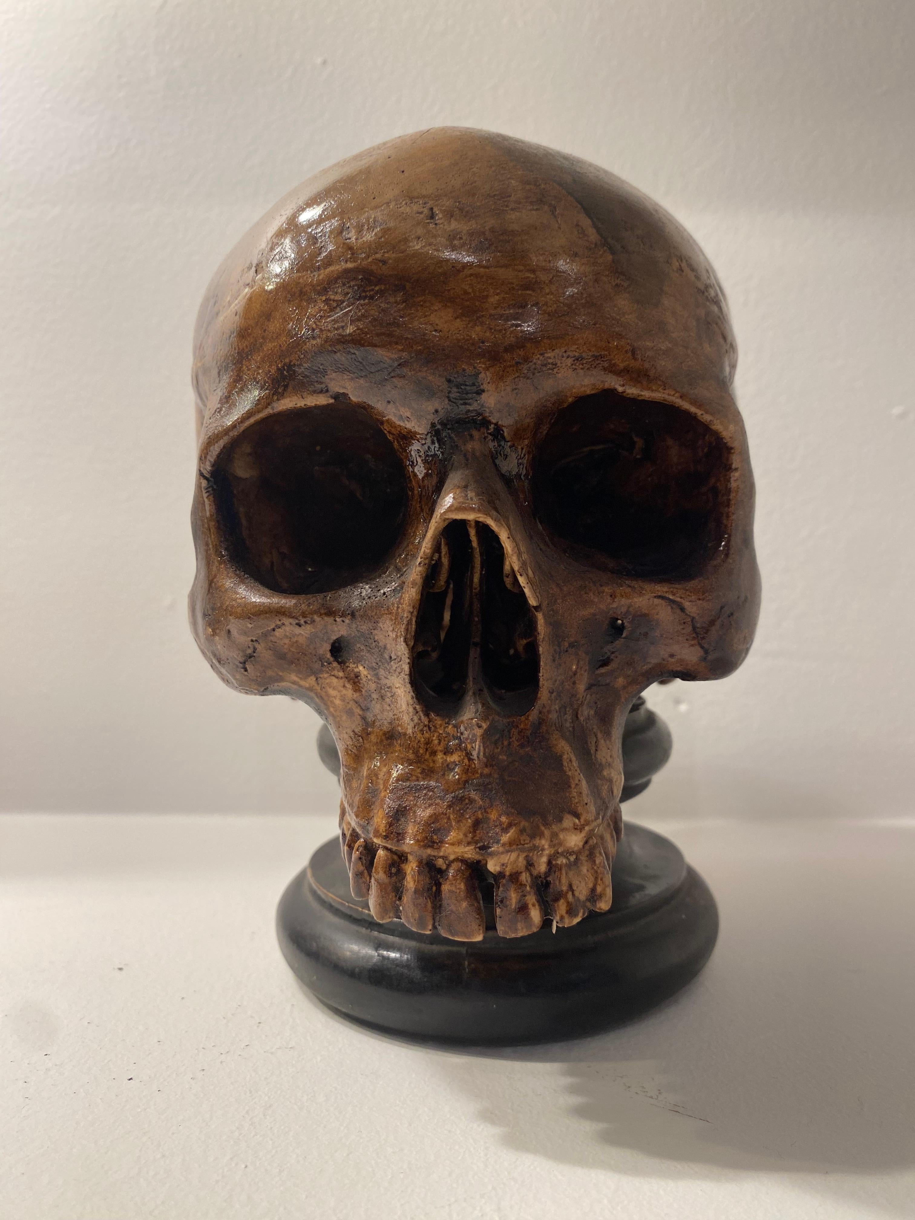  Exceptional Terracotta Skull For Sale 1