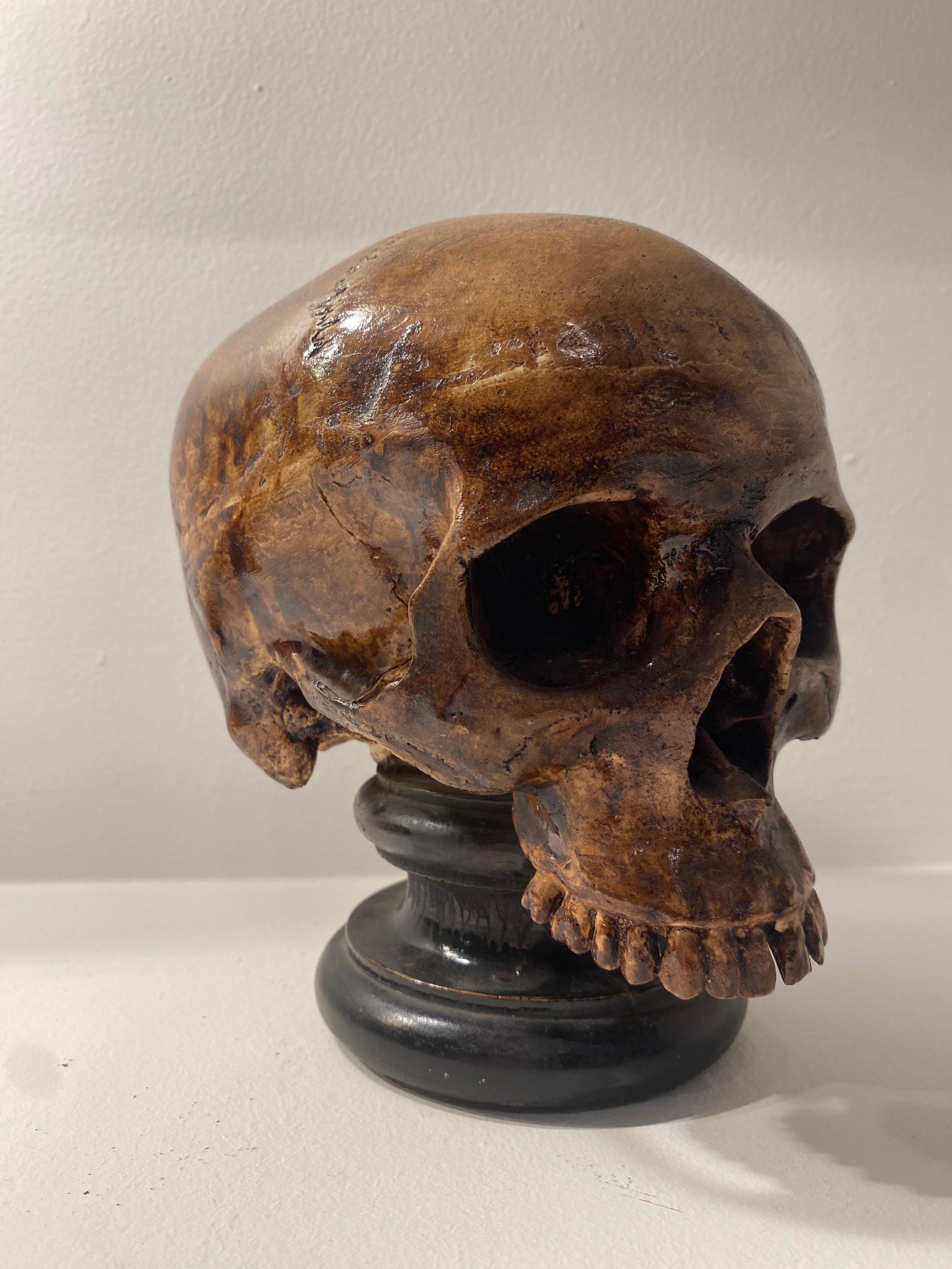  Exceptional Terracotta Skull For Sale 2