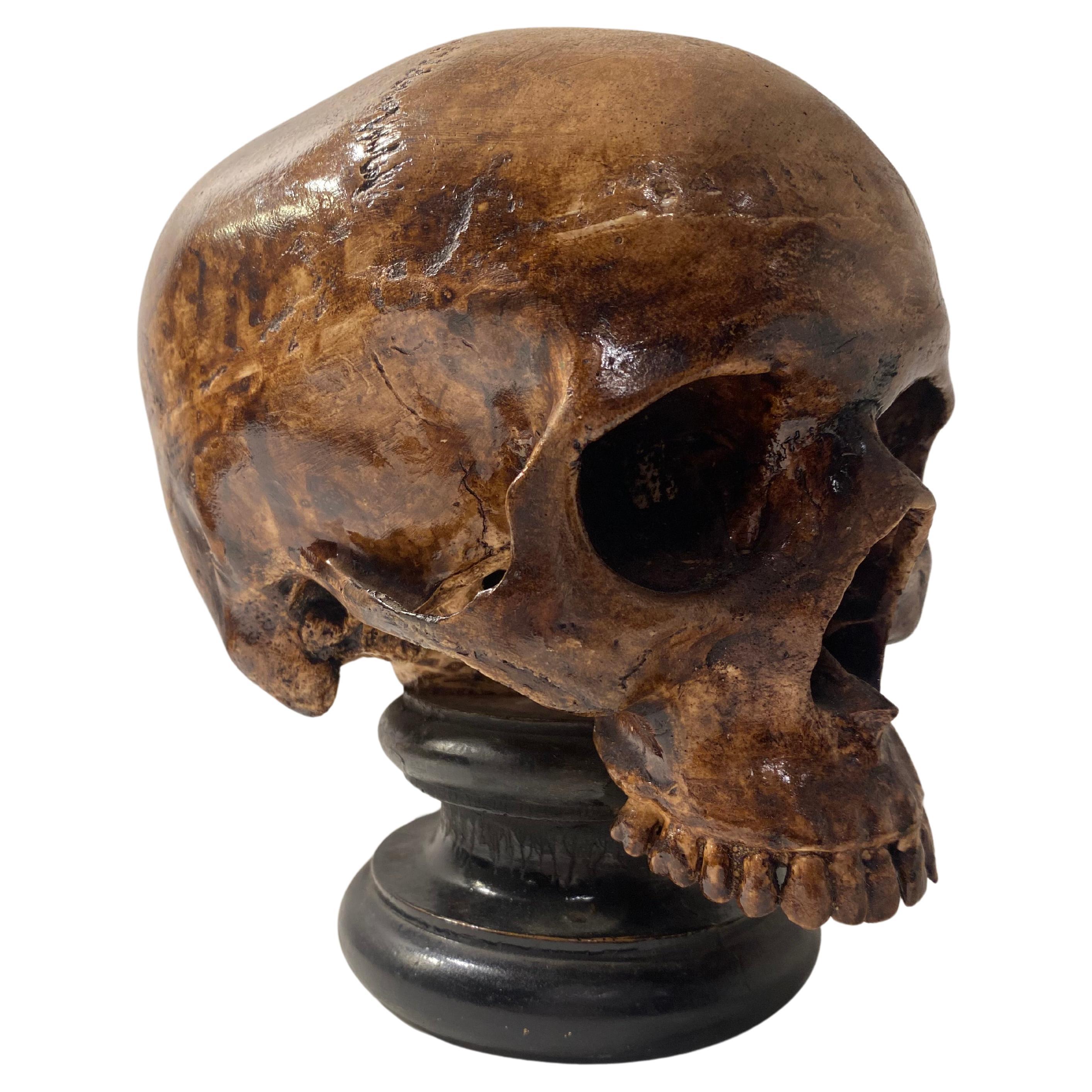  Exceptional Terracotta Skull For Sale
