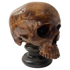 Vintage  Exceptional Terracotta Skull