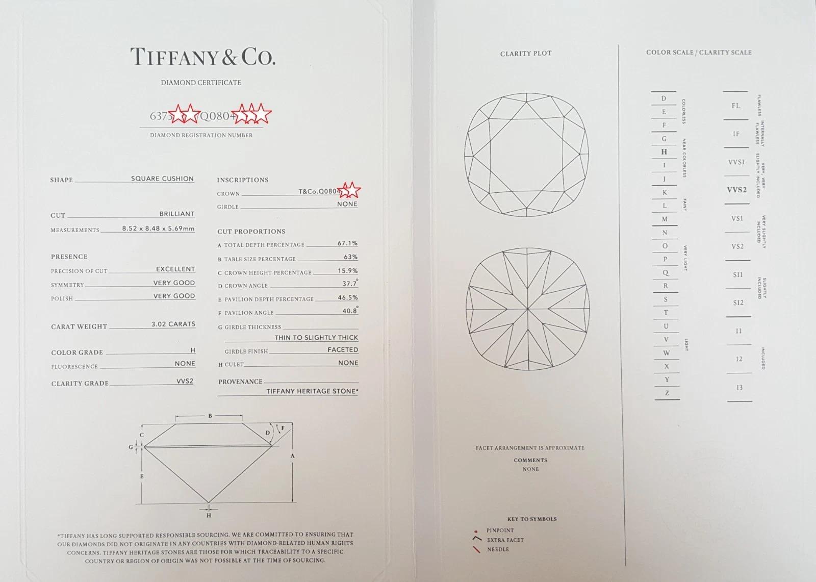 Exceptionnel Tiffany & Co. Bague Novo en platine 3,18 ct de diamant taillé en coussin en vente 2