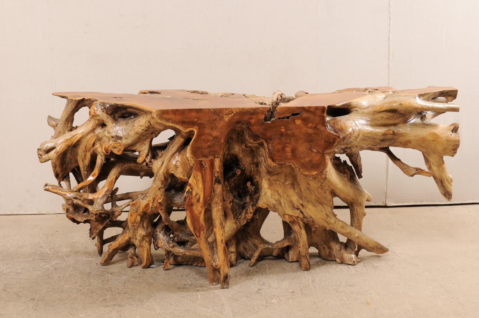 An Exceptionally Beautiful Tropical Teak Hardwood Natural Root Console Table 3