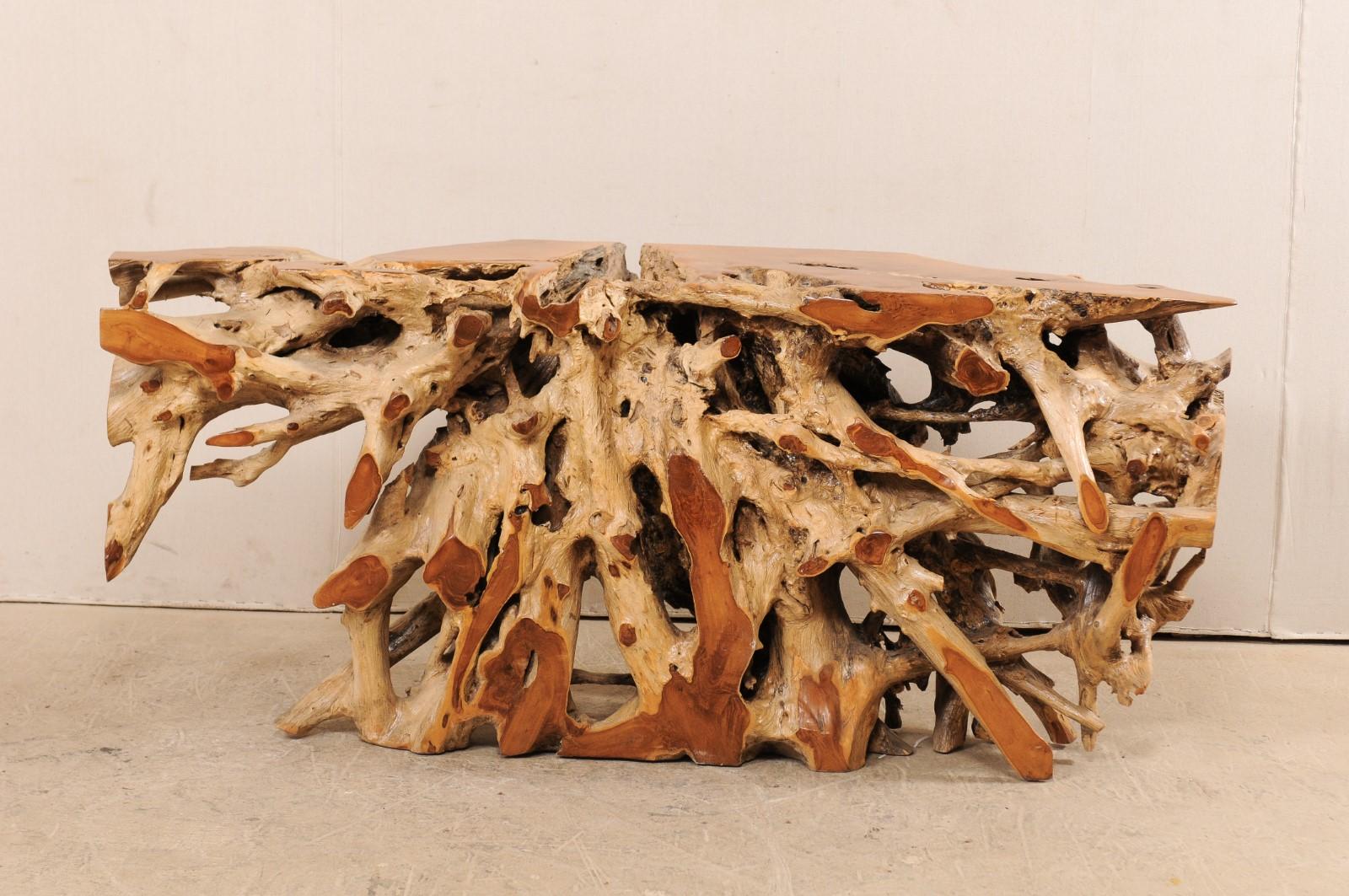 A particularly beautiful teak tree root console table. This wooden console table has been custom fashioned from a large cut section of old teak whose intertwining roots give it an organic and airy feel. There is a nice contrast of colors and