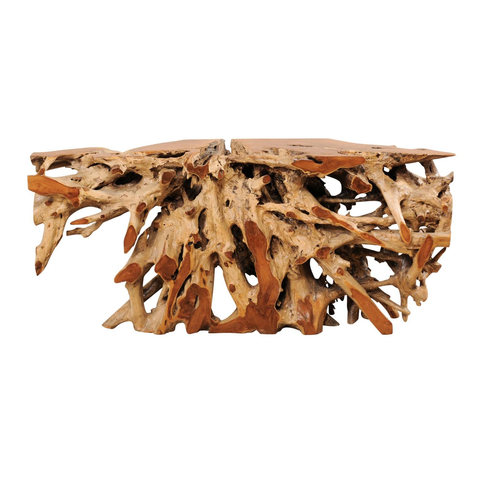 An Exceptionally Beautiful Tropical Teak Hardwood Natural Root Console Table