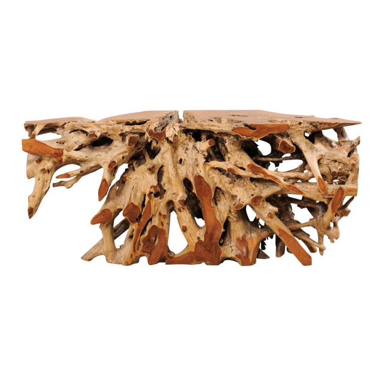 An Exceptionally Beautiful Tropical Teak Hardwood Natural Root Console  Table at 1stDibs