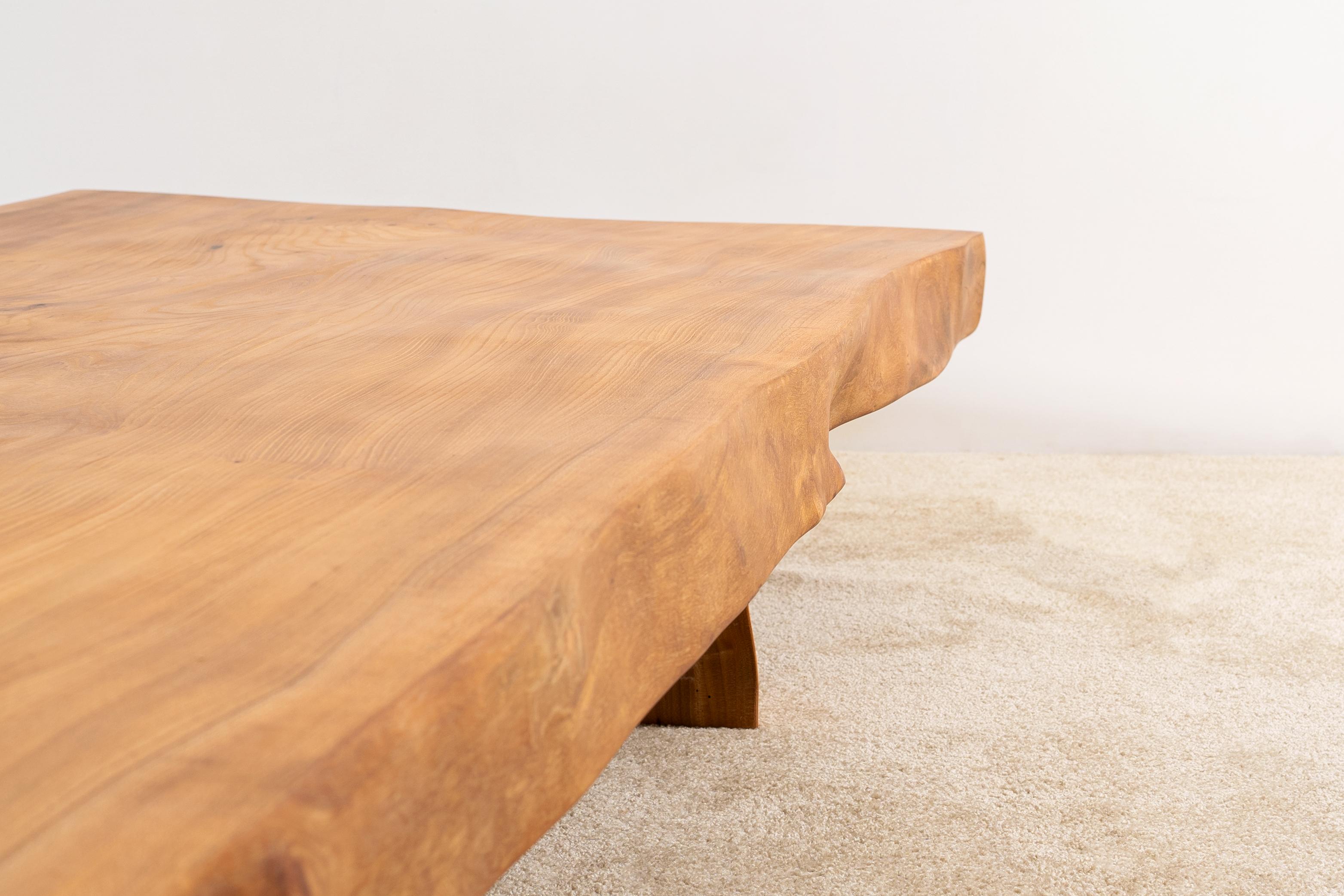 Wood Exceptional XXL Massive Blond Elm Coffee Table. France, 1950