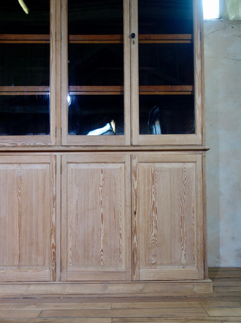 19th c Exceptionally Large Glazed Bleached Bookcase Display