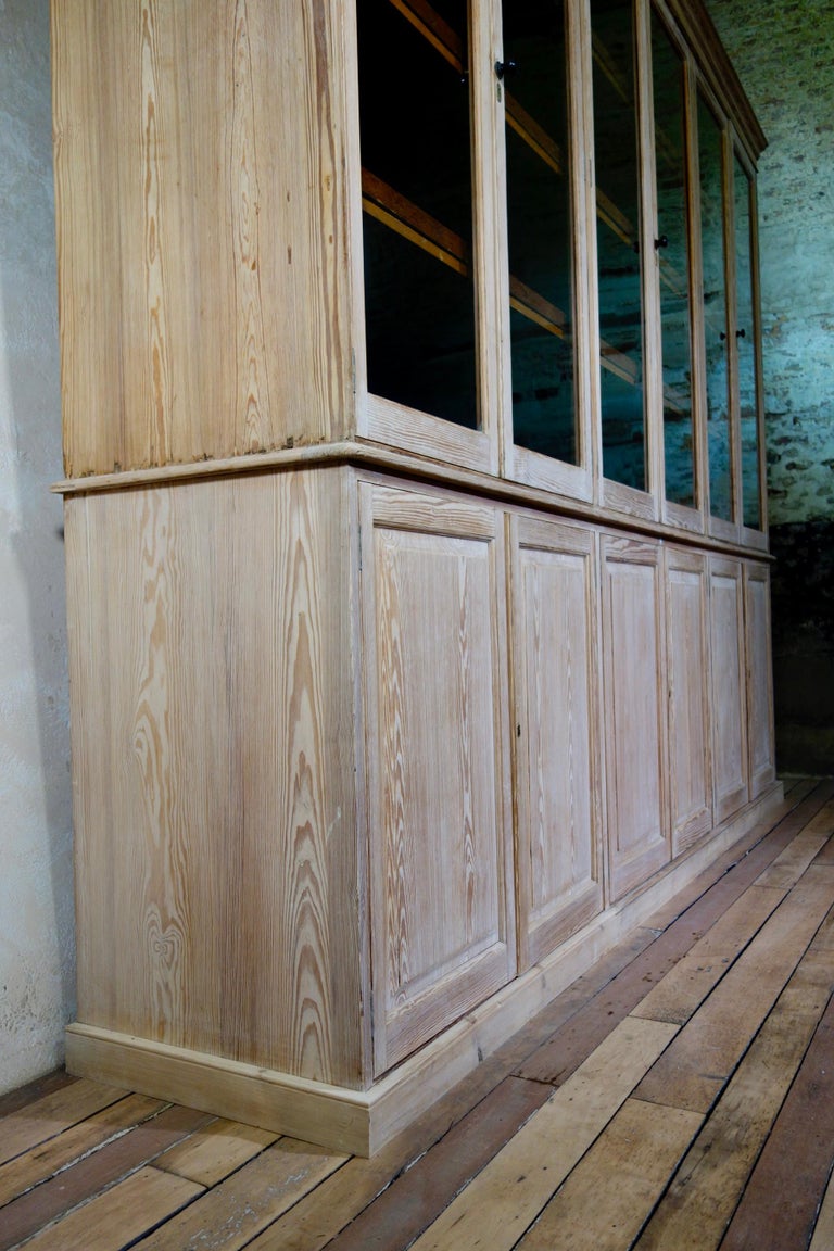 19th c Exceptionally Large Glazed Bleached Bookcase Display