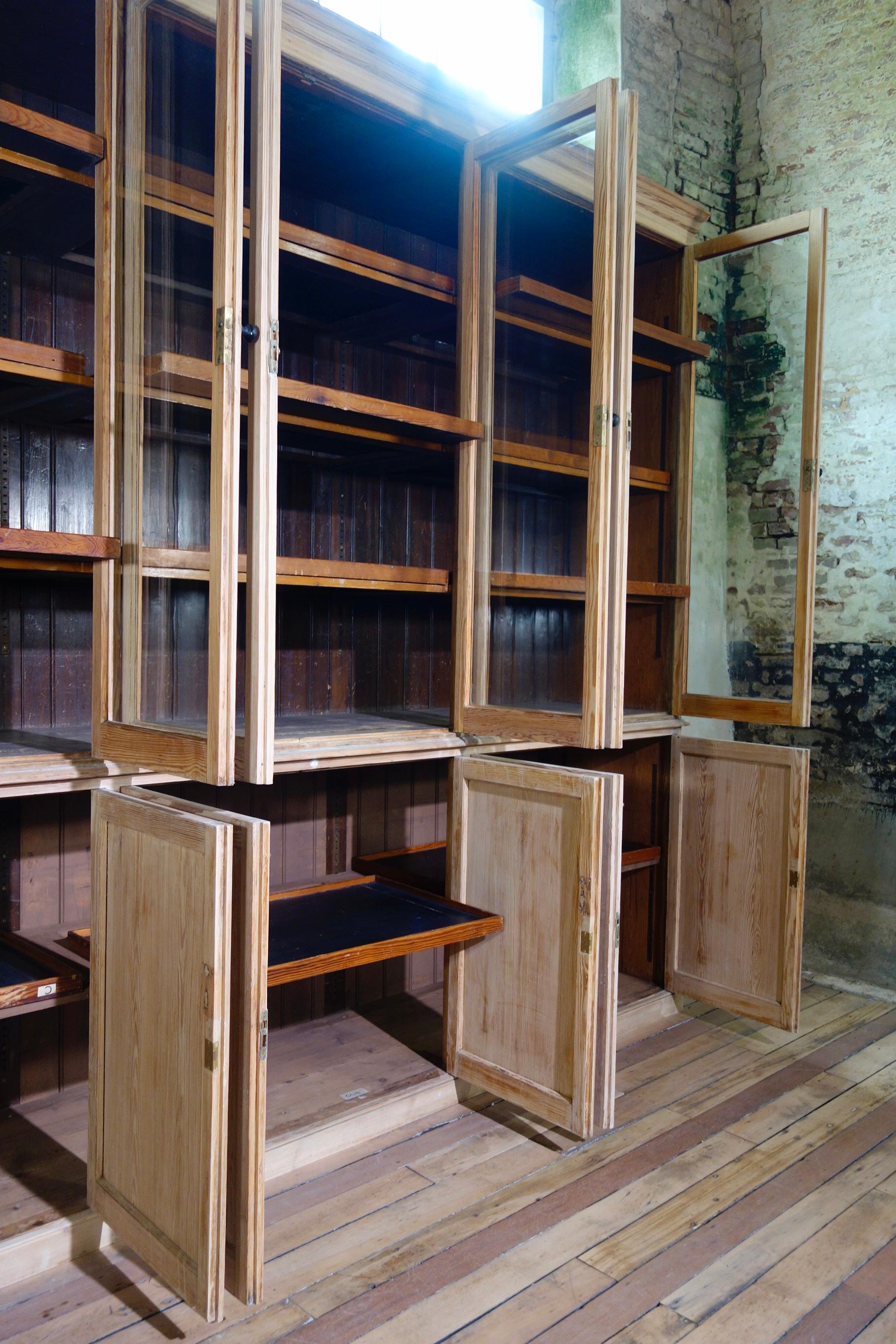 19th Century Exceptionally Large Glazed Bleached Bookcase Bibliothèque 1