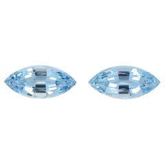 Esclusiva coppia di acquamarine marquise da 7,75 carati - Perfetta per orecchini di lusso personalizzati