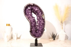 Exclusive Amethyst Geode Portal with a Rare Crown Druzy Formation, Super Rare