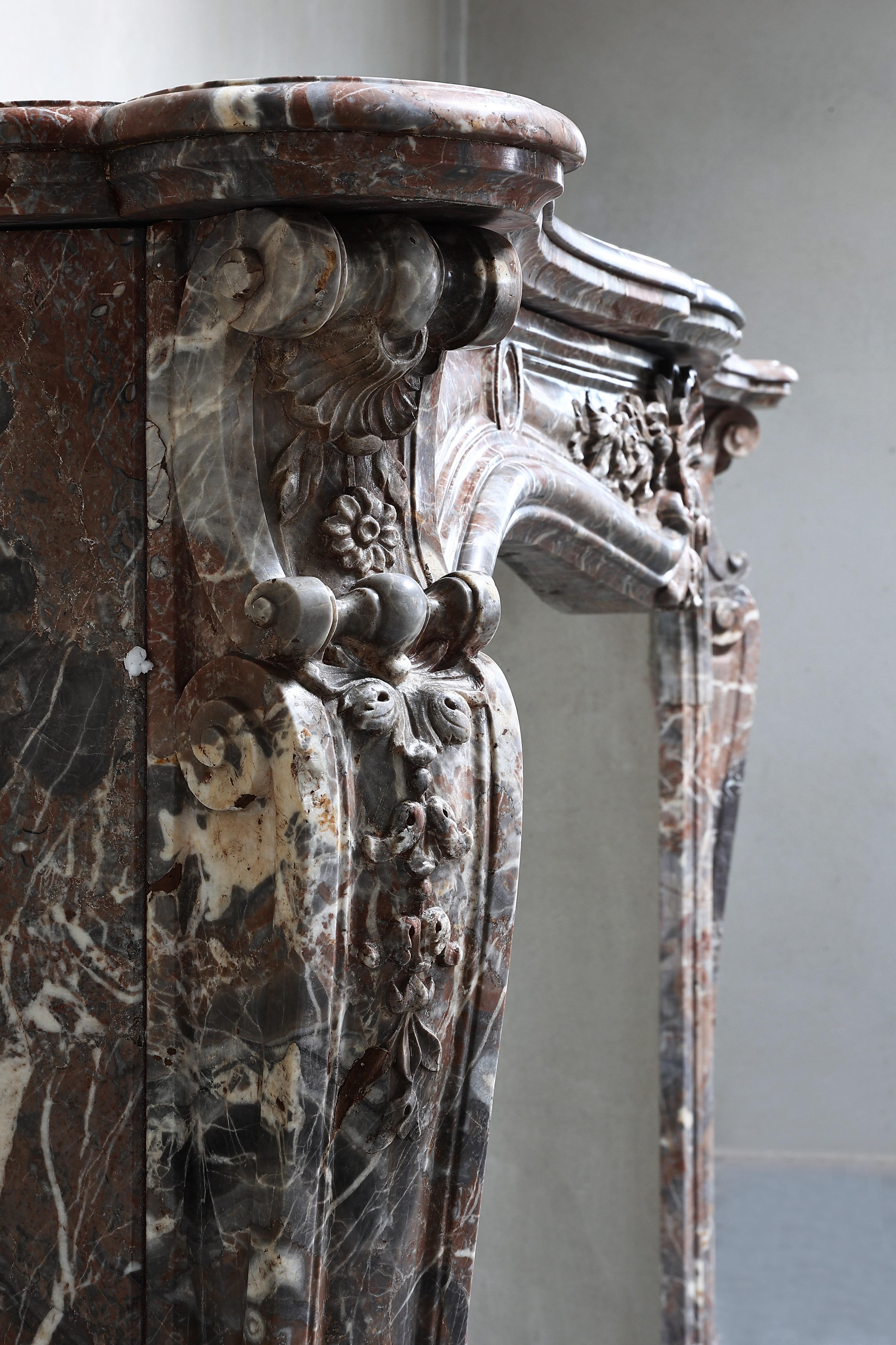 Antike Marmor-Kaminumrandung  Royal Belge-Marmor  19. Jahrhundert im Angebot 8