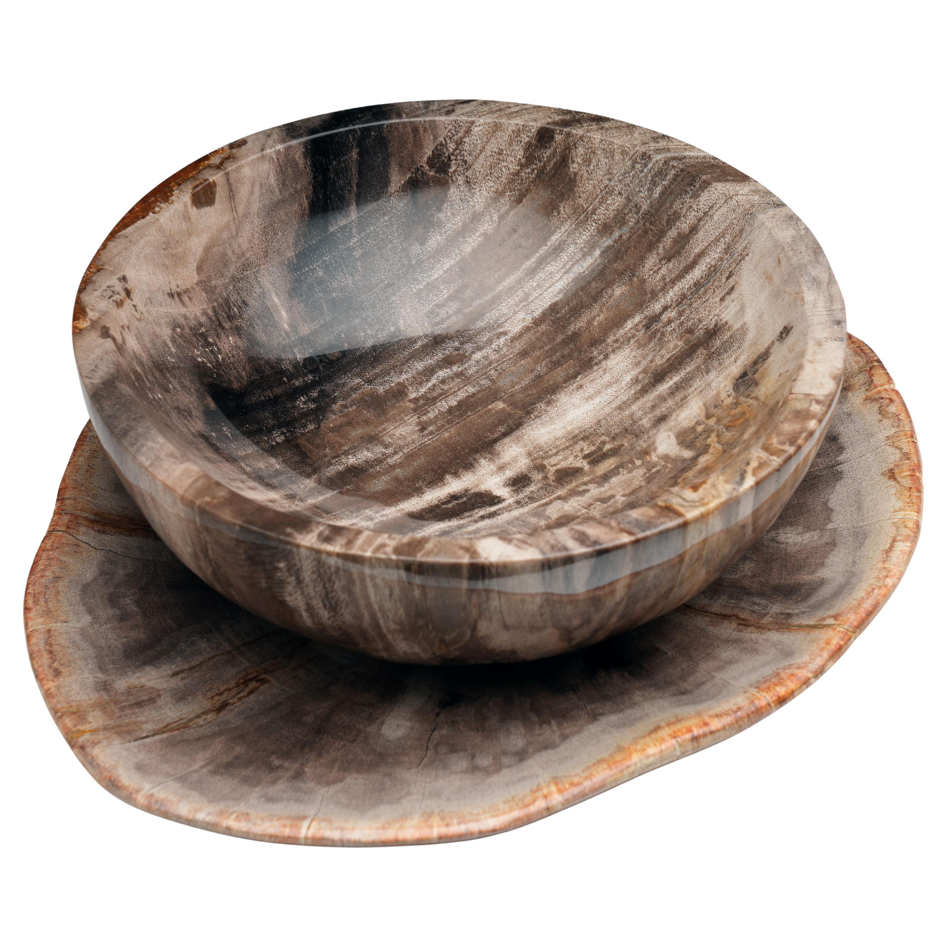 Exclusive Hand-Carved Indonesian Petrified Wood Bowls and Plates Set