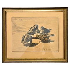 Exklusive Vilhelm Theodor Fischer (1857-1928) antike dänische Radierung mit Vögeln