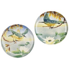 Excuisite Pair of Antique Majolica Wall Plates Kingfisher Bird Pattern