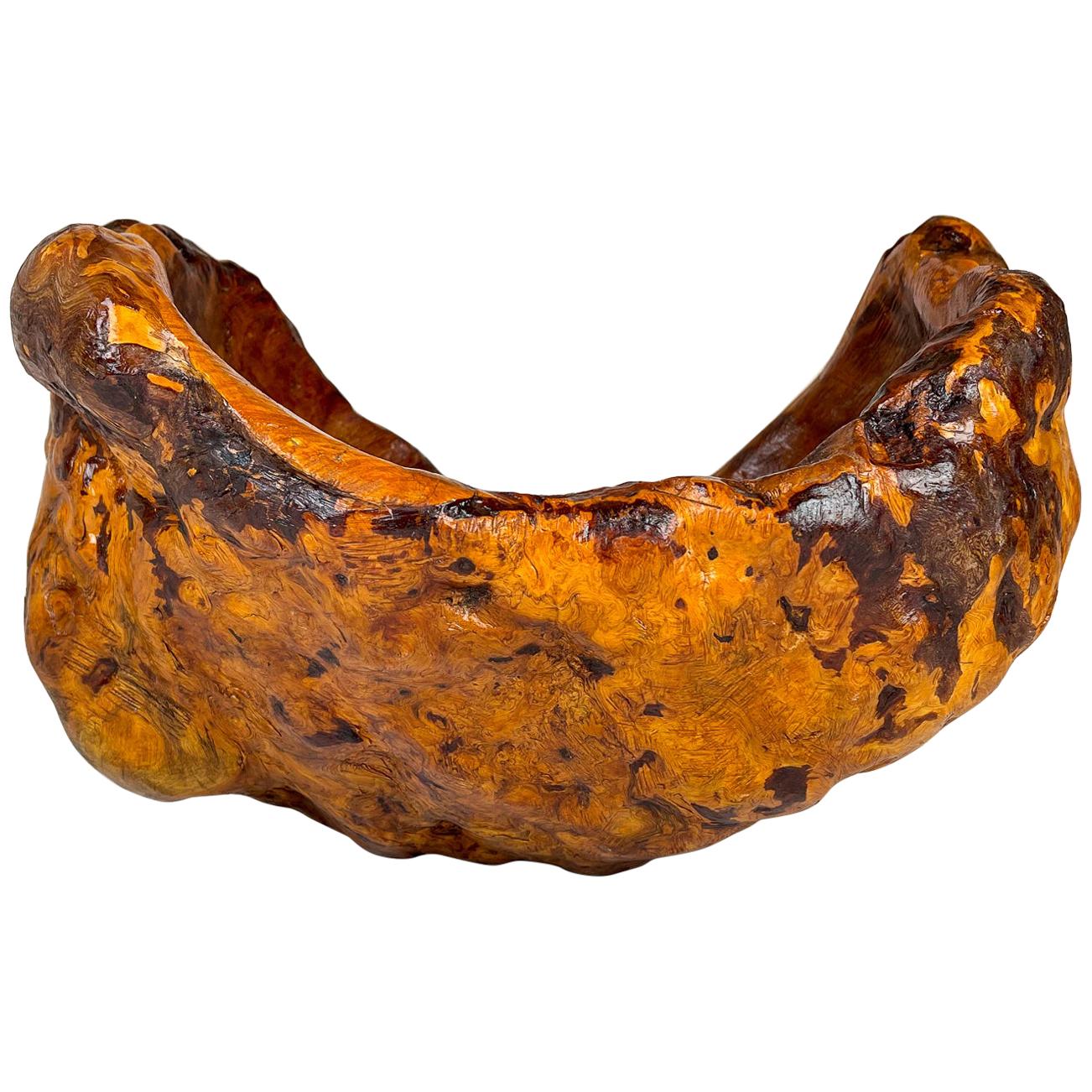 Exeptional Large Swedish Folk Art Organic Burl Bowl, circa 1960s For Sale