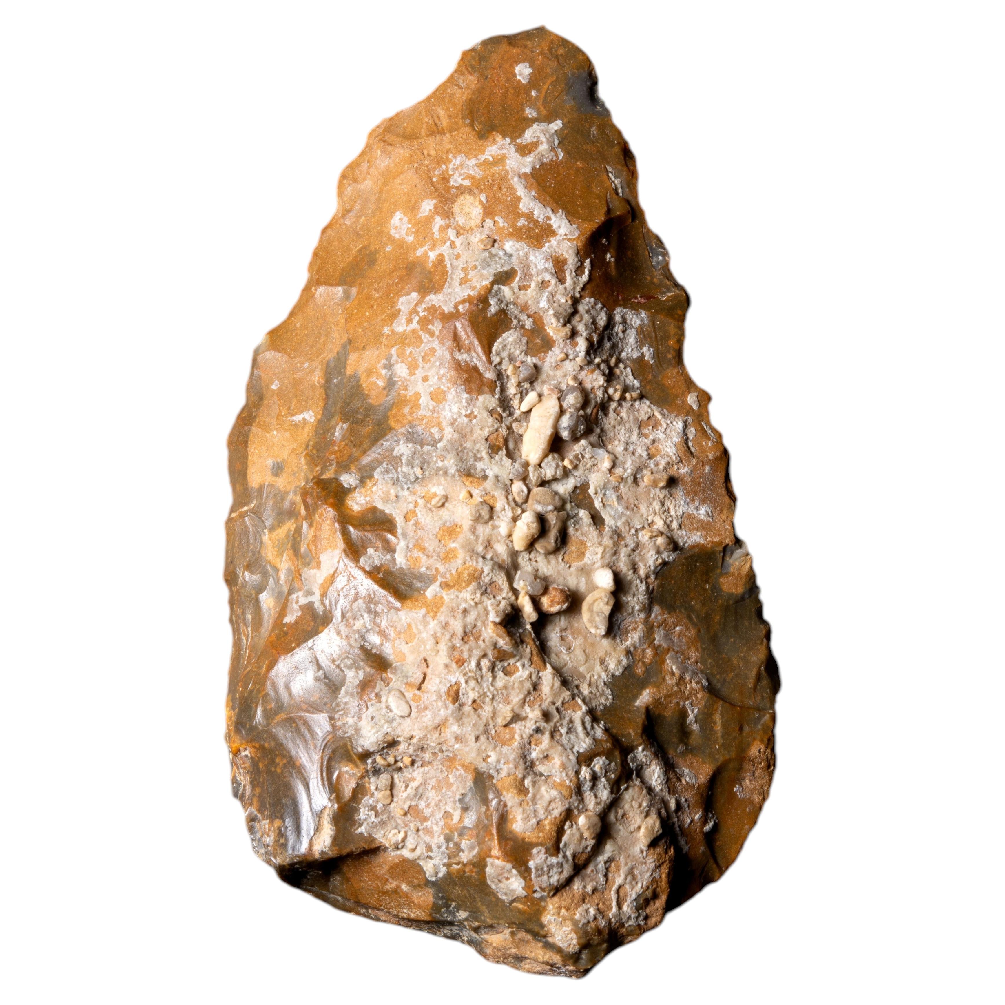 Exhibited and Published Palaeolithic Flint Handaxe, 700000-30000 BC
