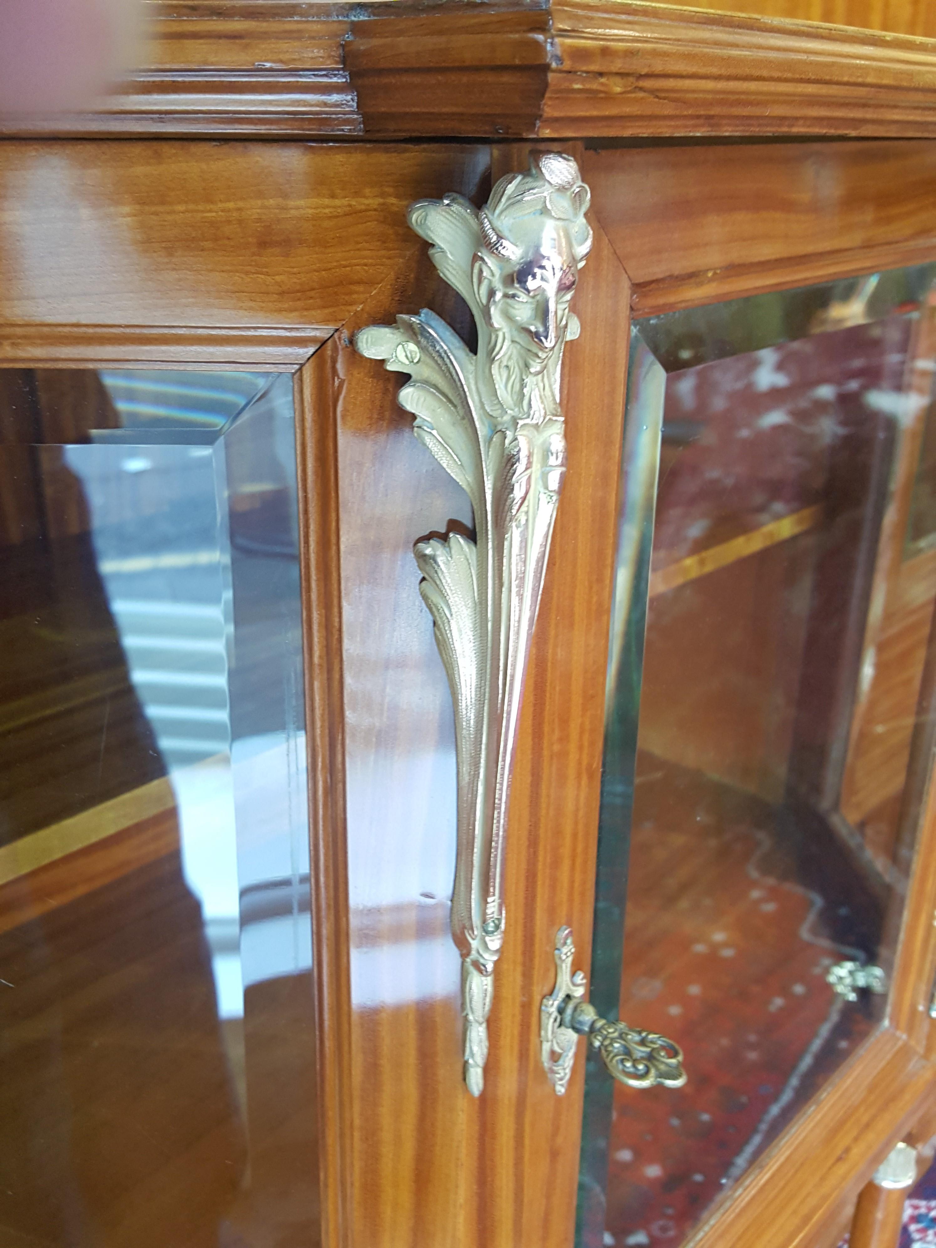 Exhibition Quality Late 19th Century Swiss Satinwood Display Cabinet For Sale 2