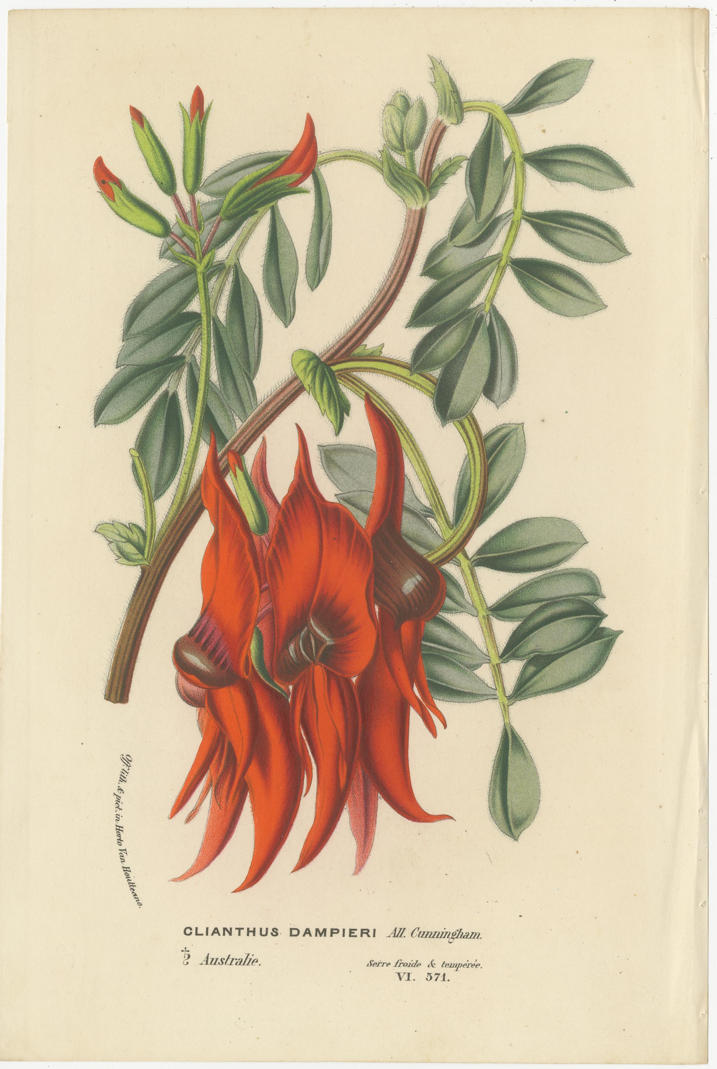 Exotische Blooms: A Collection of 19th-Century Chromolithographs, veröffentlicht 1875 (Spätes 19. Jahrhundert) im Angebot
