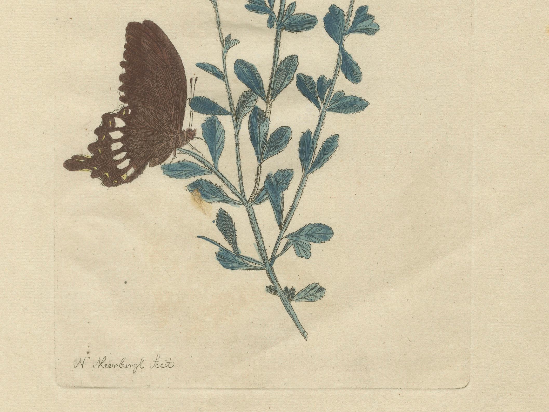 Paper Exotic Botanicals and Rare Butterflies – Hand-Colored Dutch Prints from 1775 For Sale