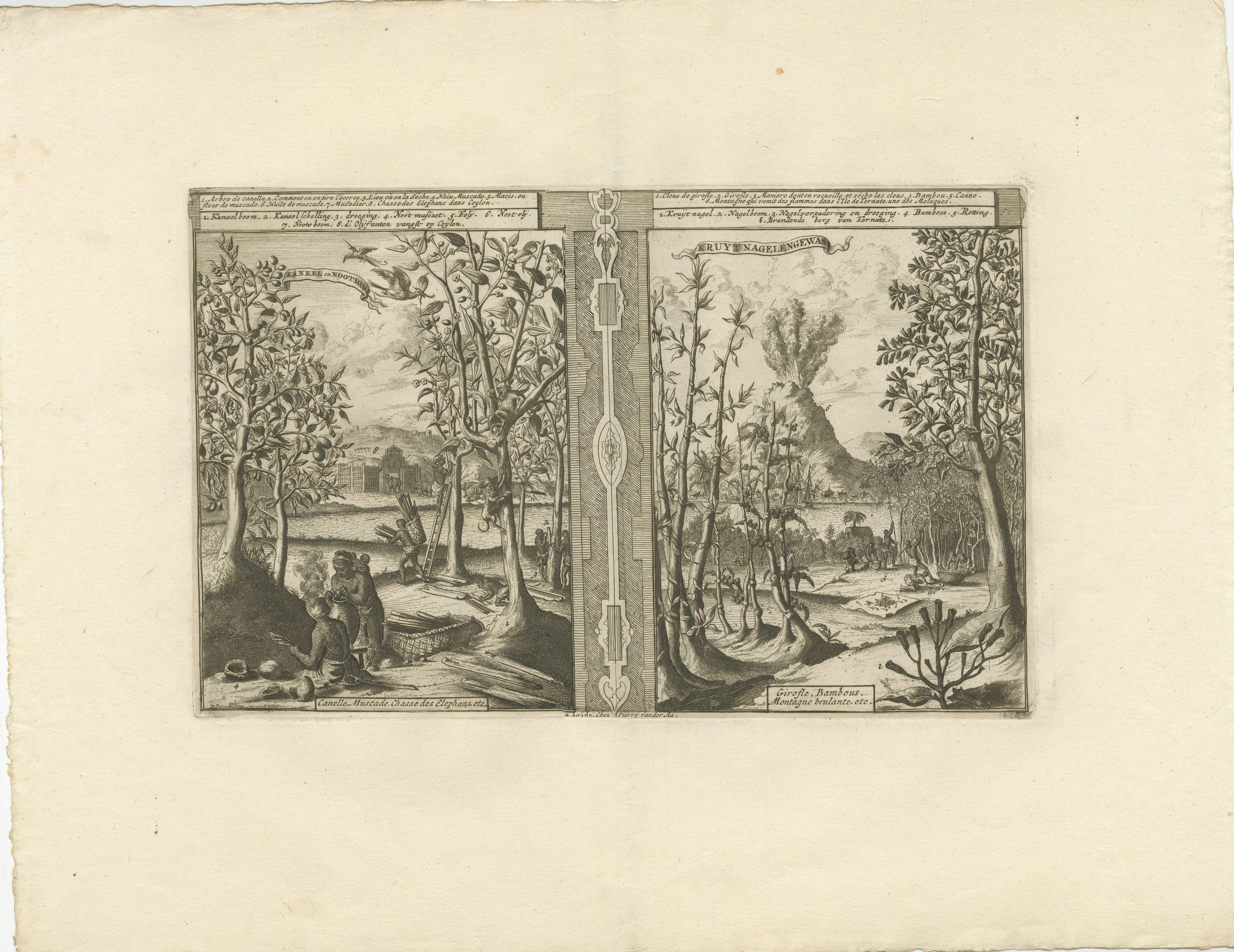 Exotic Bounty : Les terres à épices des Indes orientales

La gravure représente des scènes des Indes orientales, et non des Indes occidentales, ce qui était un point de confusion courant dans les textes historiques en raison de la nomenclature
