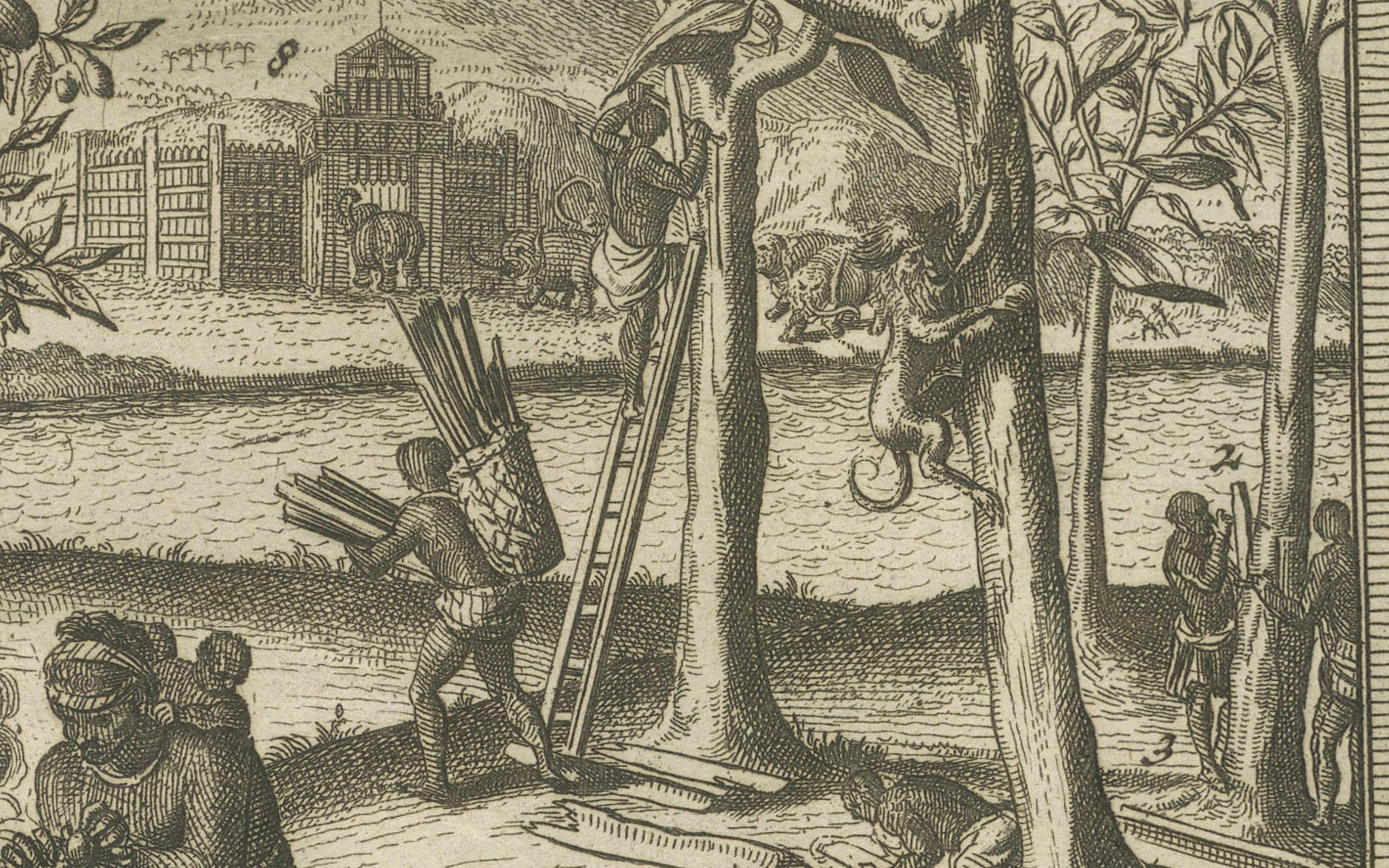 Gravé Exotic Bounty : The Spice Lands of the East Indies par R. de Hooghe, vers 1708 en vente