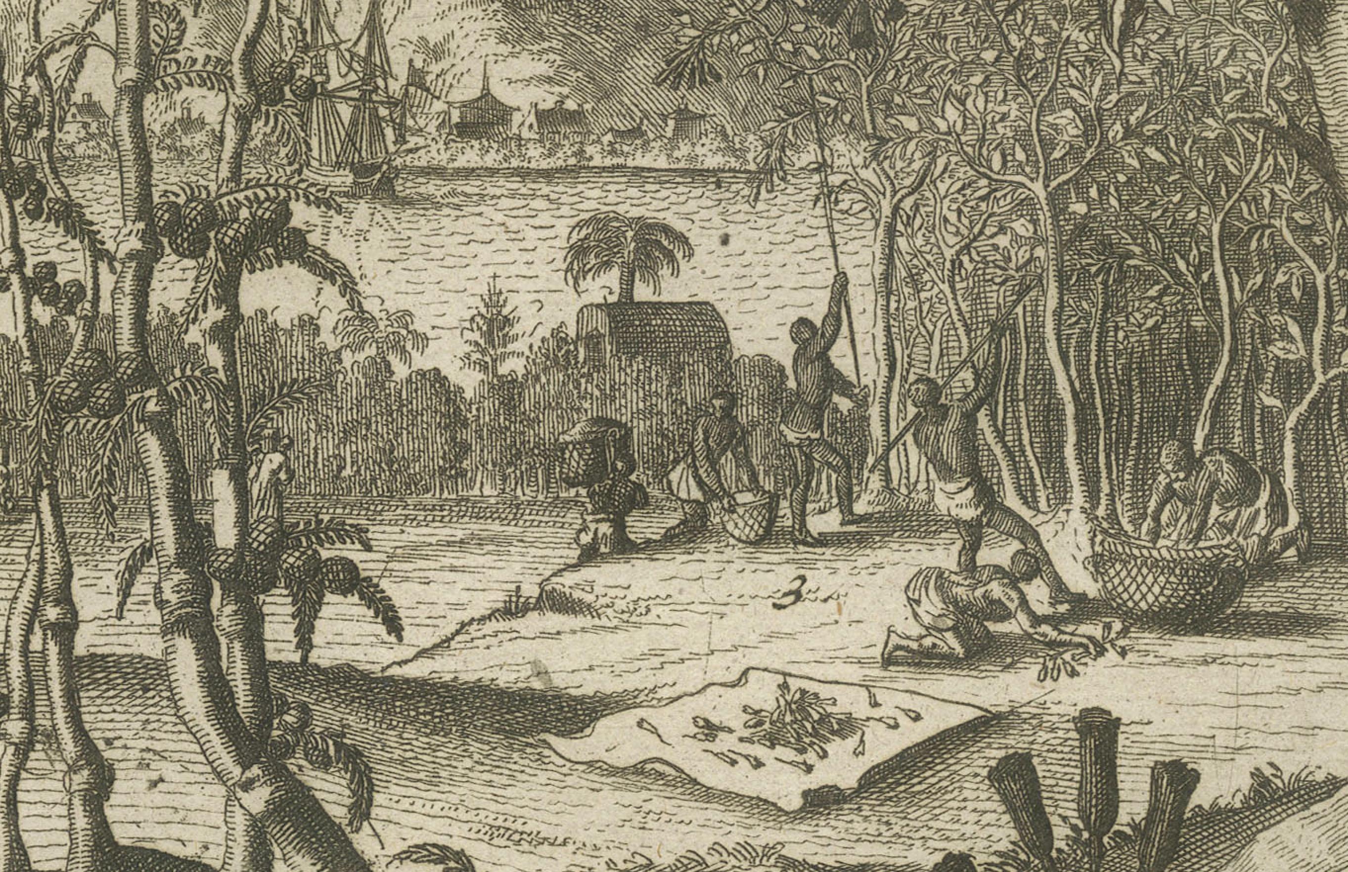 Exotic Bounty : The Spice Lands of the East Indies par R. de Hooghe, vers 1708 Excellent état - En vente à Langweer, NL