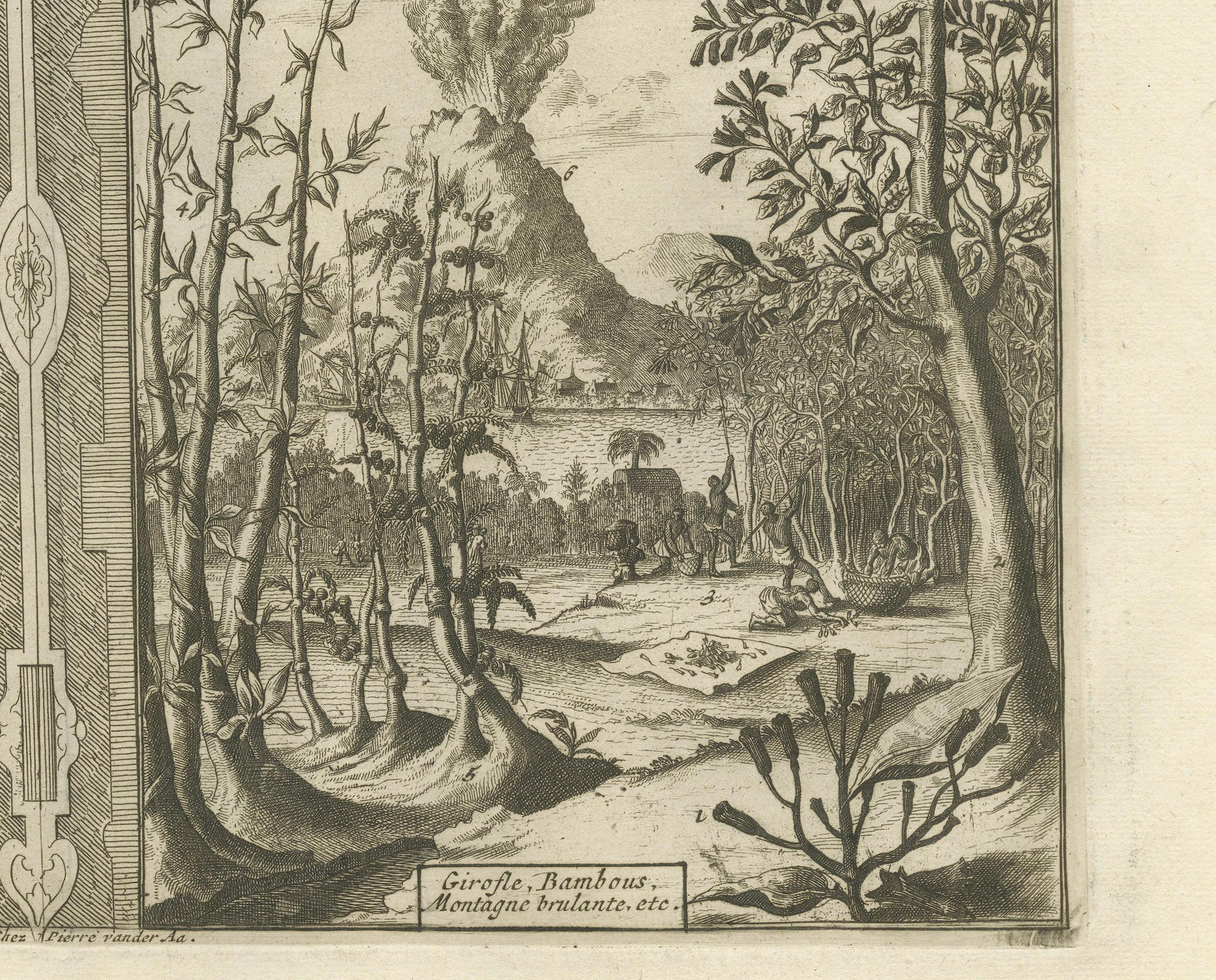 Début du XVIIIe siècle Exotic Bounty : The Spice Lands of the East Indies par R. de Hooghe, vers 1708 en vente