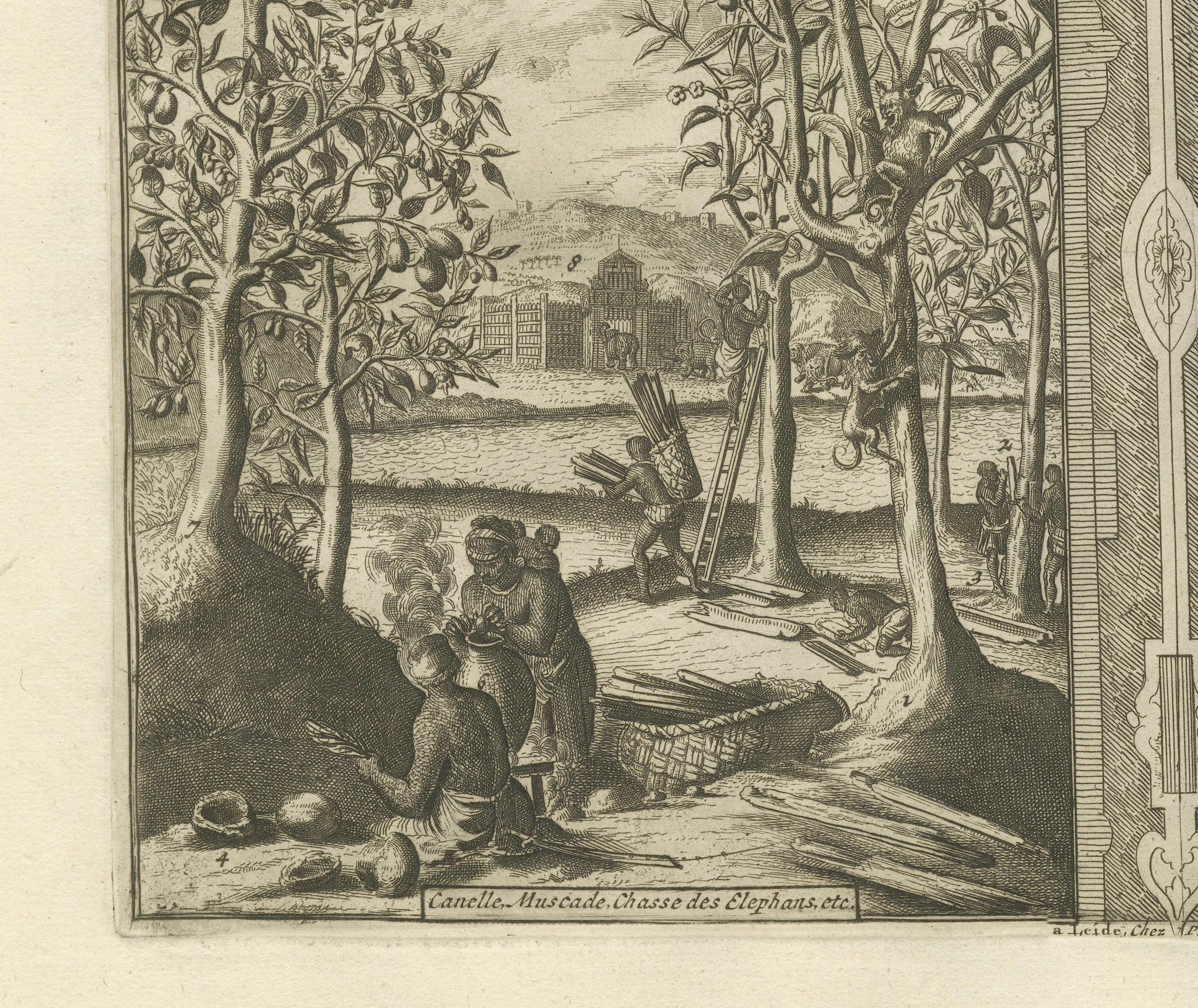 Papier Exotic Bounty : The Spice Lands of the East Indies par R. de Hooghe, vers 1708 en vente