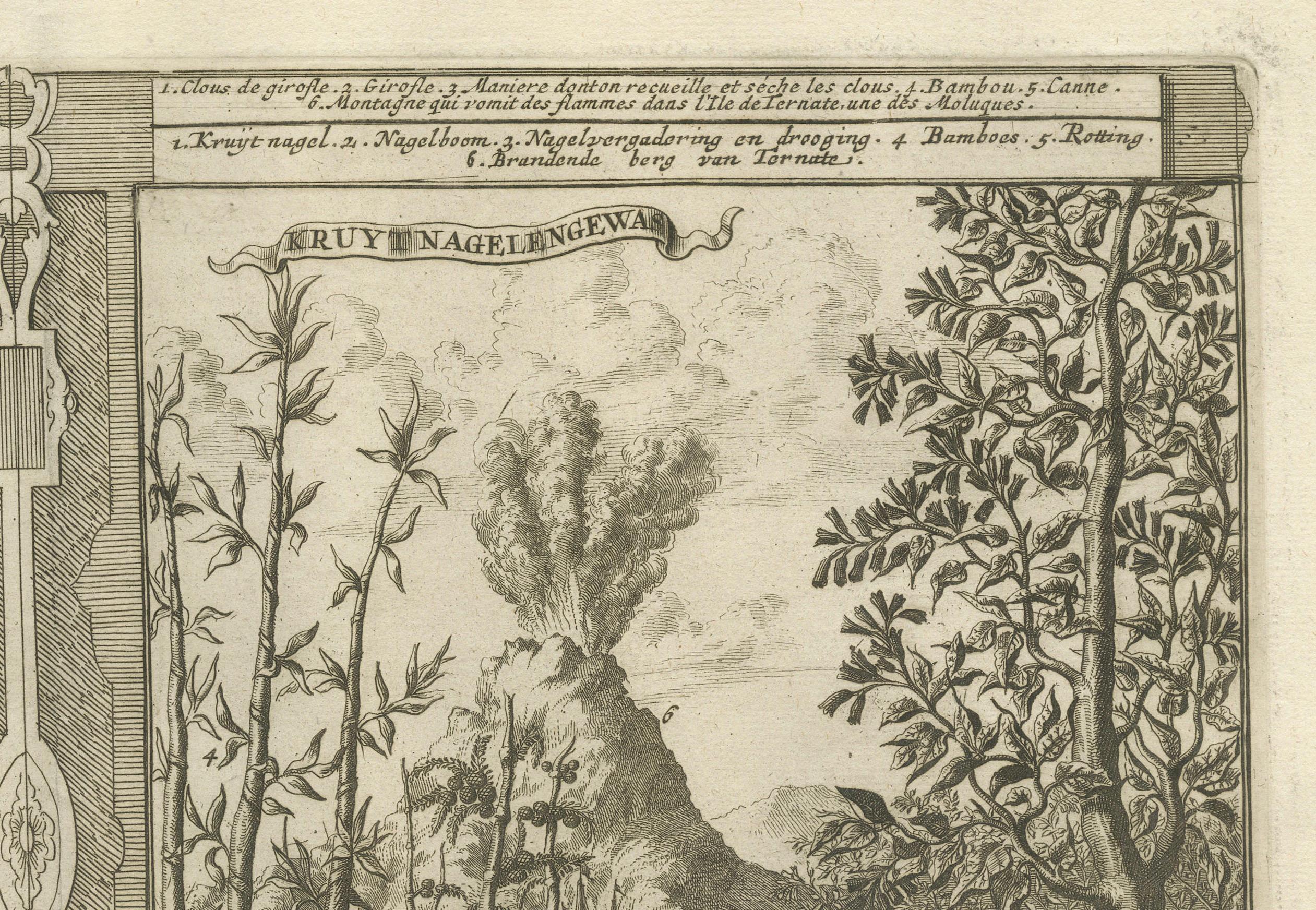 Exotic Bounty : The Spice Lands of the East Indies par R. de Hooghe, vers 1708 en vente 1