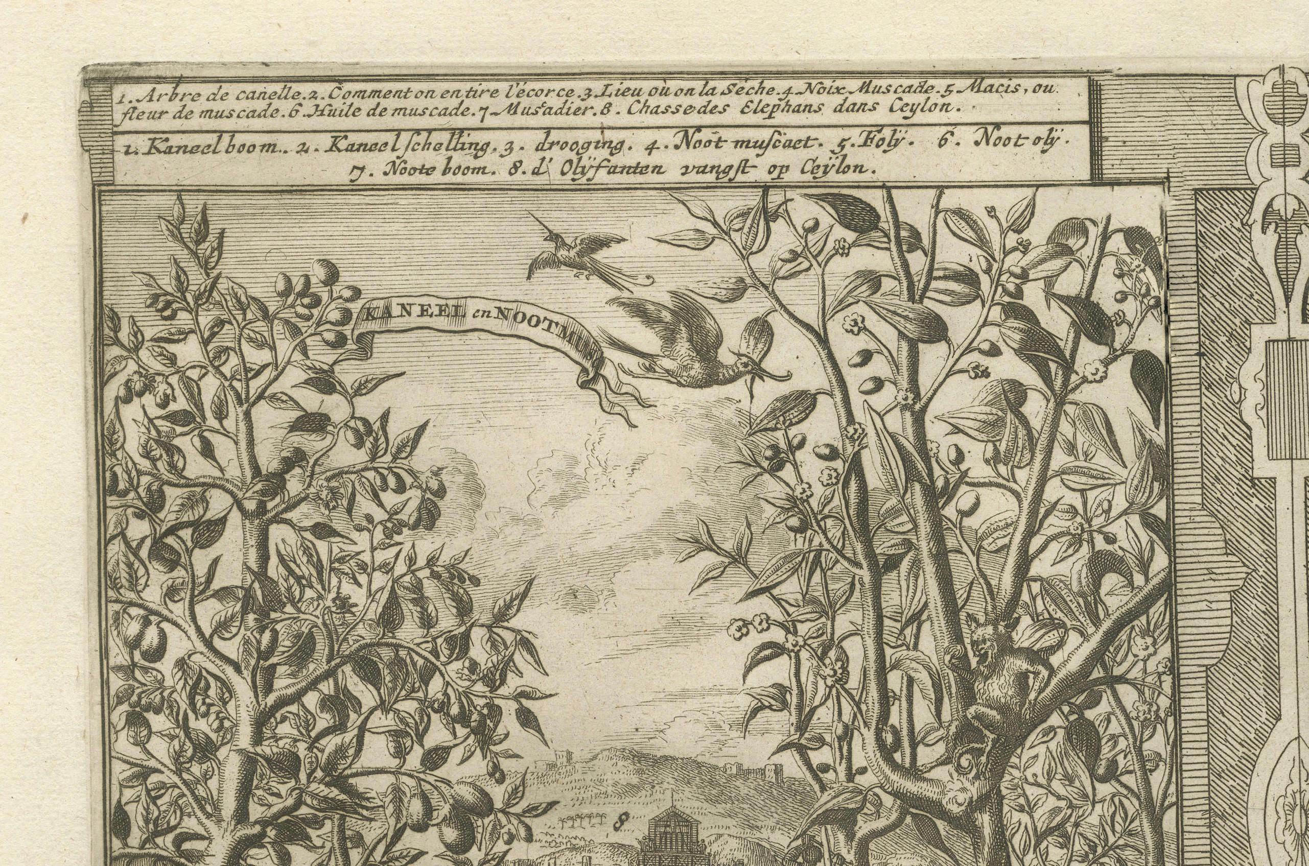 Exotic Bounty : The Spice Lands of the East Indies par R. de Hooghe, vers 1708 en vente 2