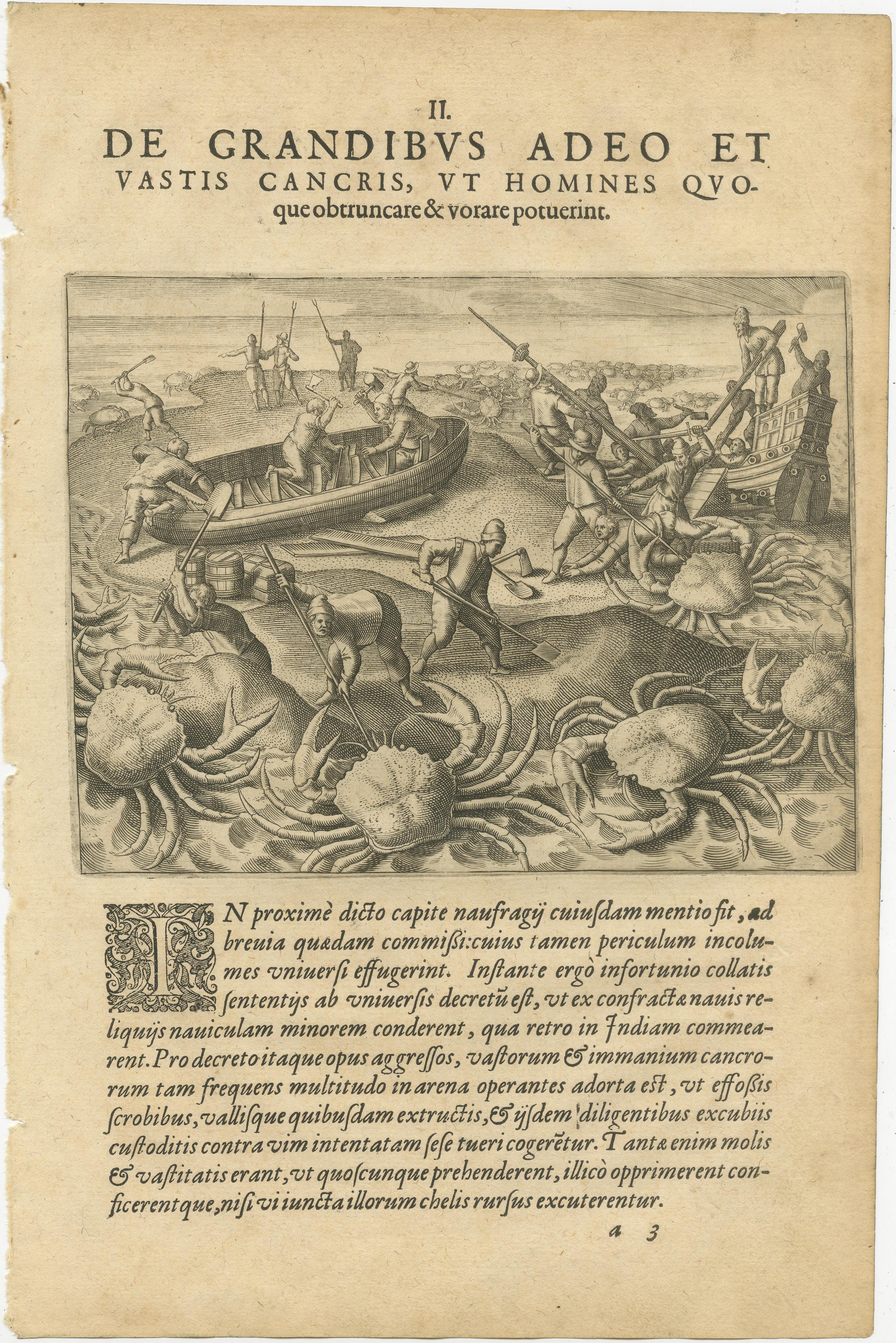 Dutch Exotic Encounters: Giant Crabs, Tortoises, Whales, and Cockfights - De Bry, 1598 For Sale