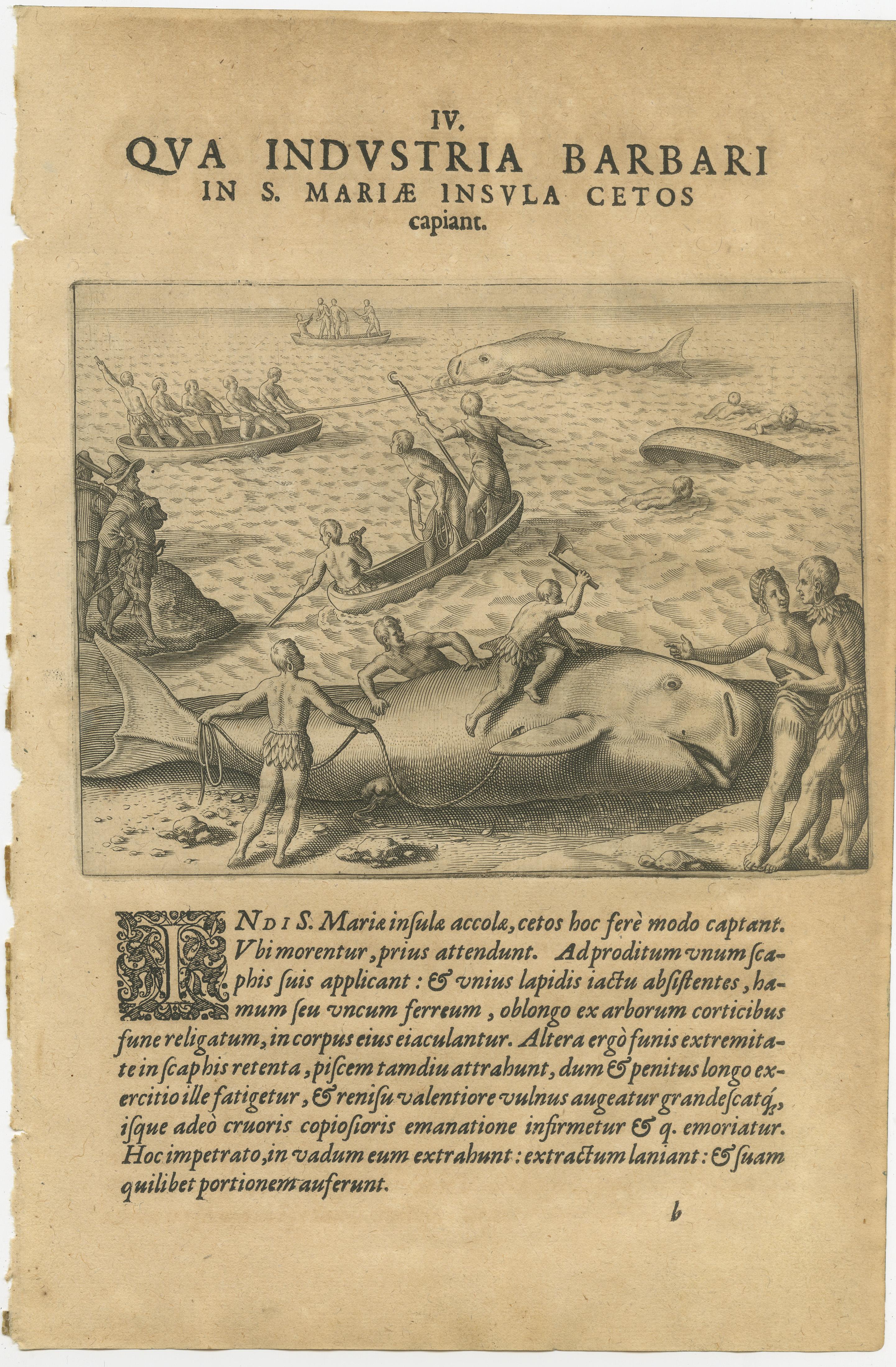 Exotic Encounters: Giant Crabs, Tortoises, Whales, and Cockfights - De Bry, 1598 In Good Condition For Sale In Langweer, NL