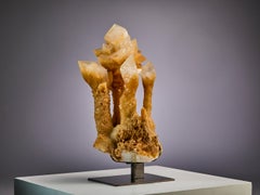 Exotic Flowers, Yellow Calcite Decorative Object Table top
