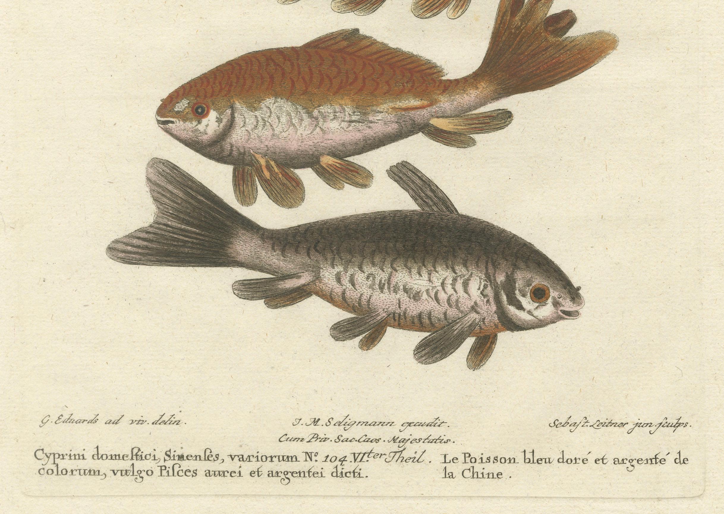 Exotische Goldfischfische Chinas: Ein handkolorierter Kupferstich aus dem 18. Jahrhundert, um 1773 im Zustand „Gut“ im Angebot in Langweer, NL
